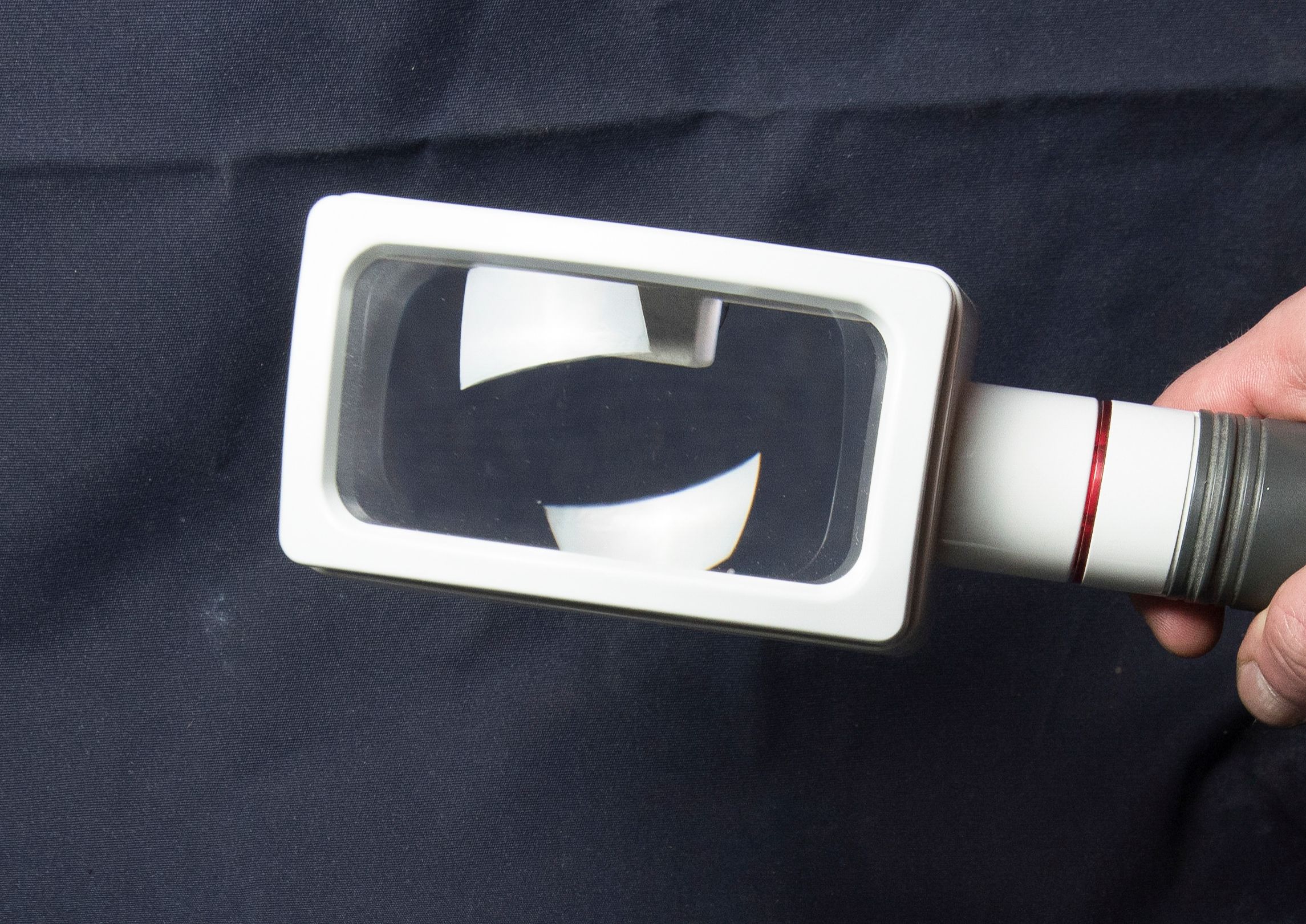 interdisciplinary learning