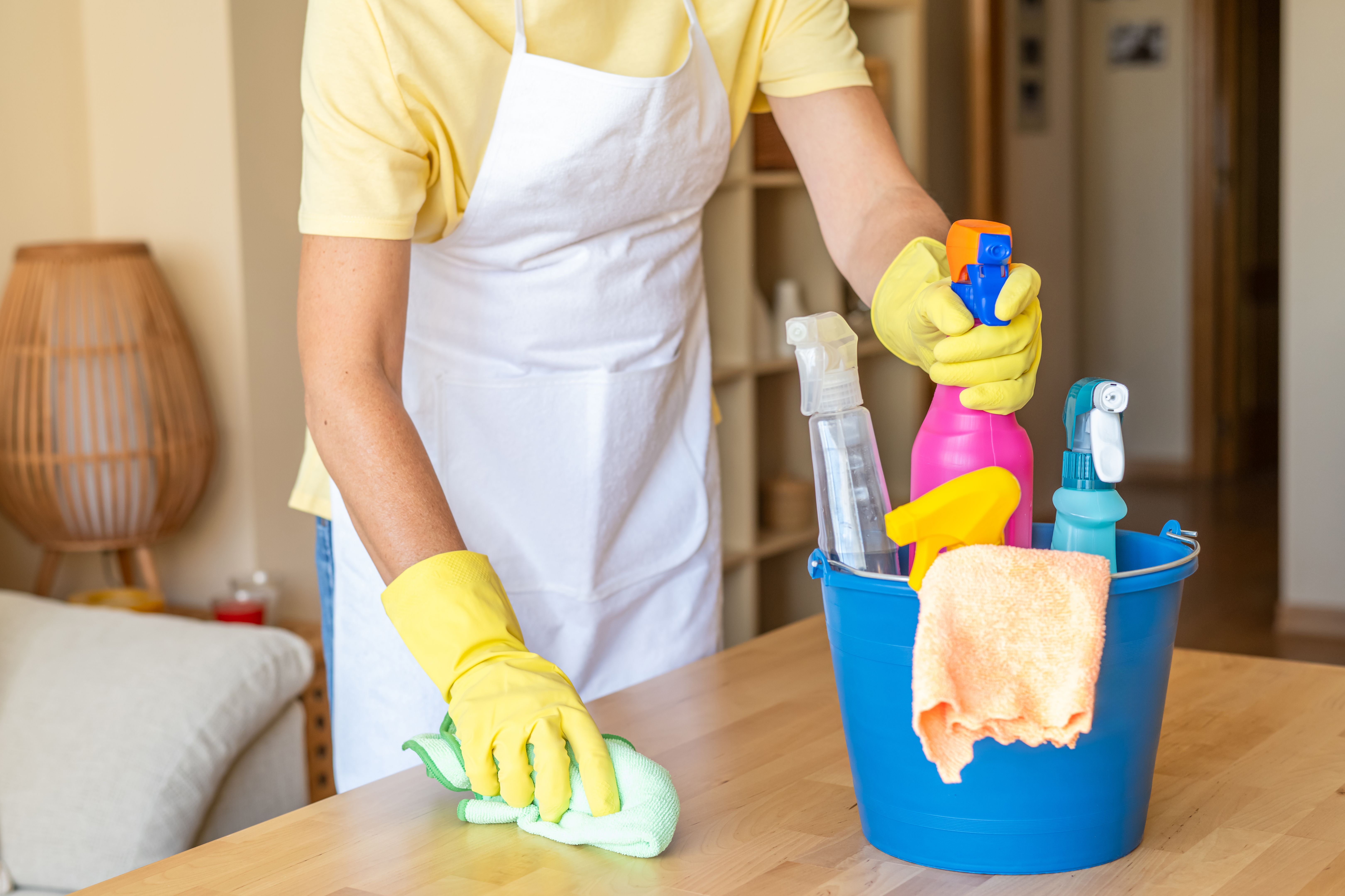 professional cleaners