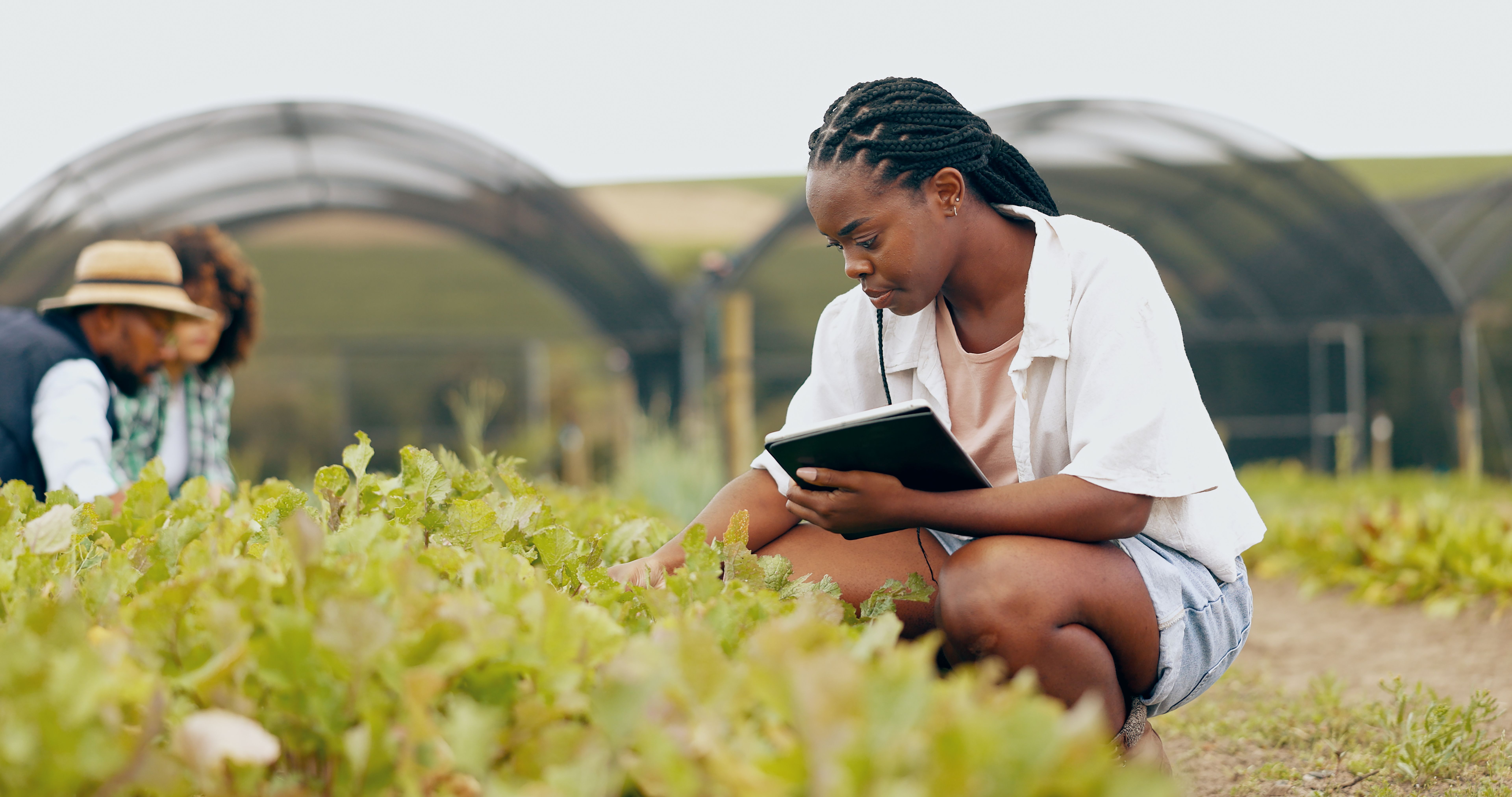 agriculture technology