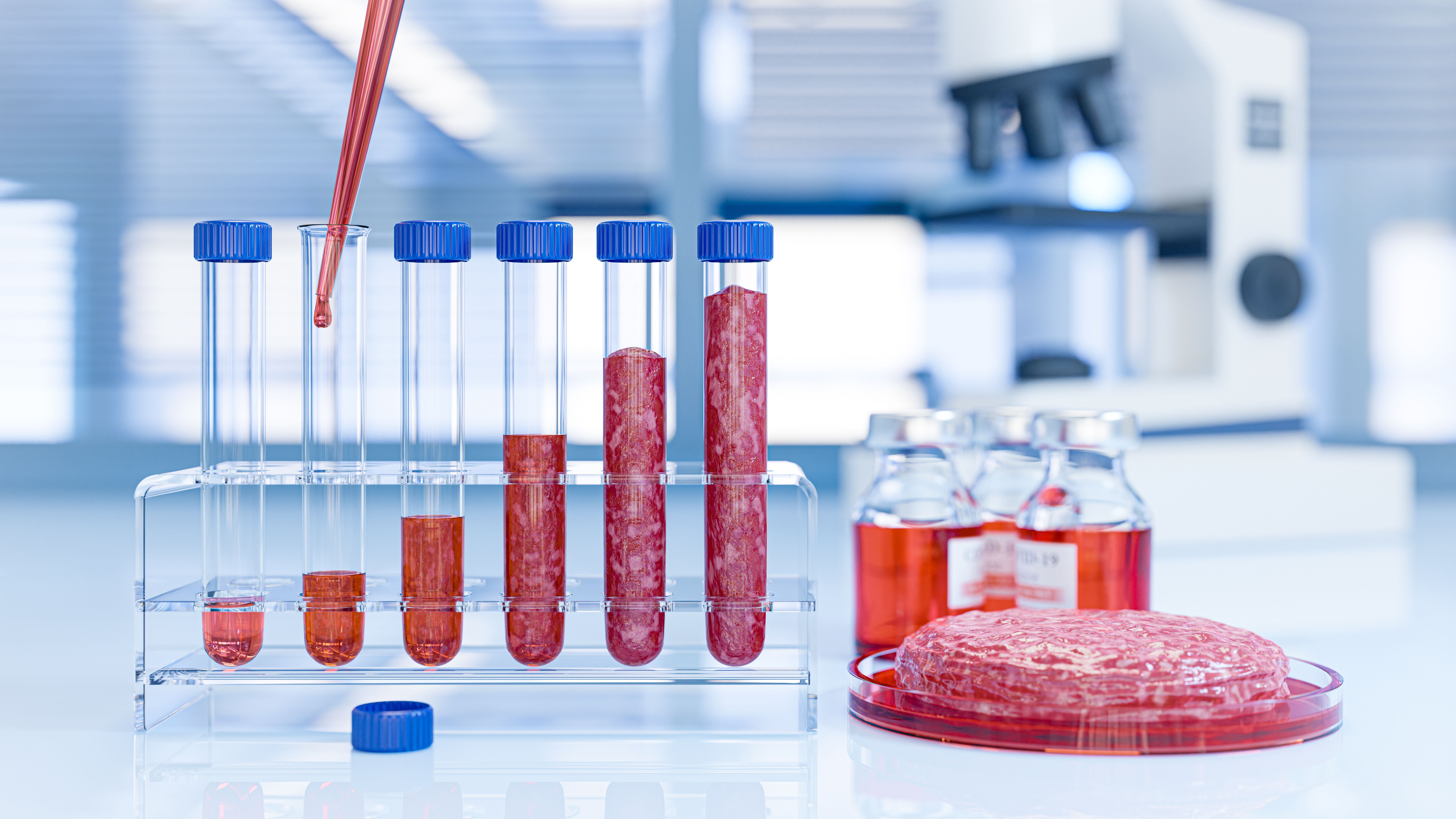 Beef grown in a laboratory in test tubes. The concept of in-vitro meat production in the laboratory - 3d illustration Beef grown in a laboratory in test tubes. The concept of in-vitro meat production in the laboratory - 3d illustration