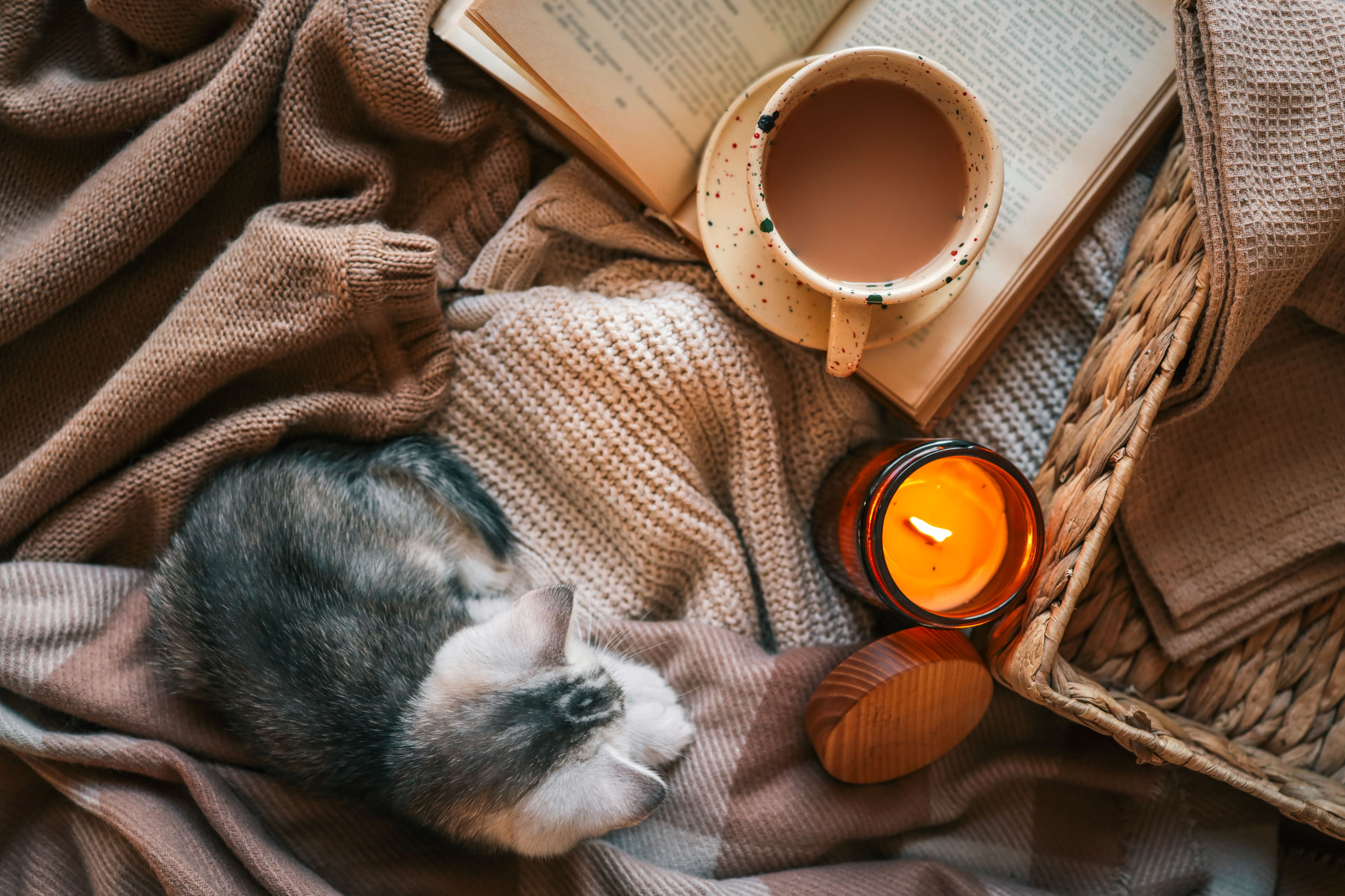 cozy home interior
