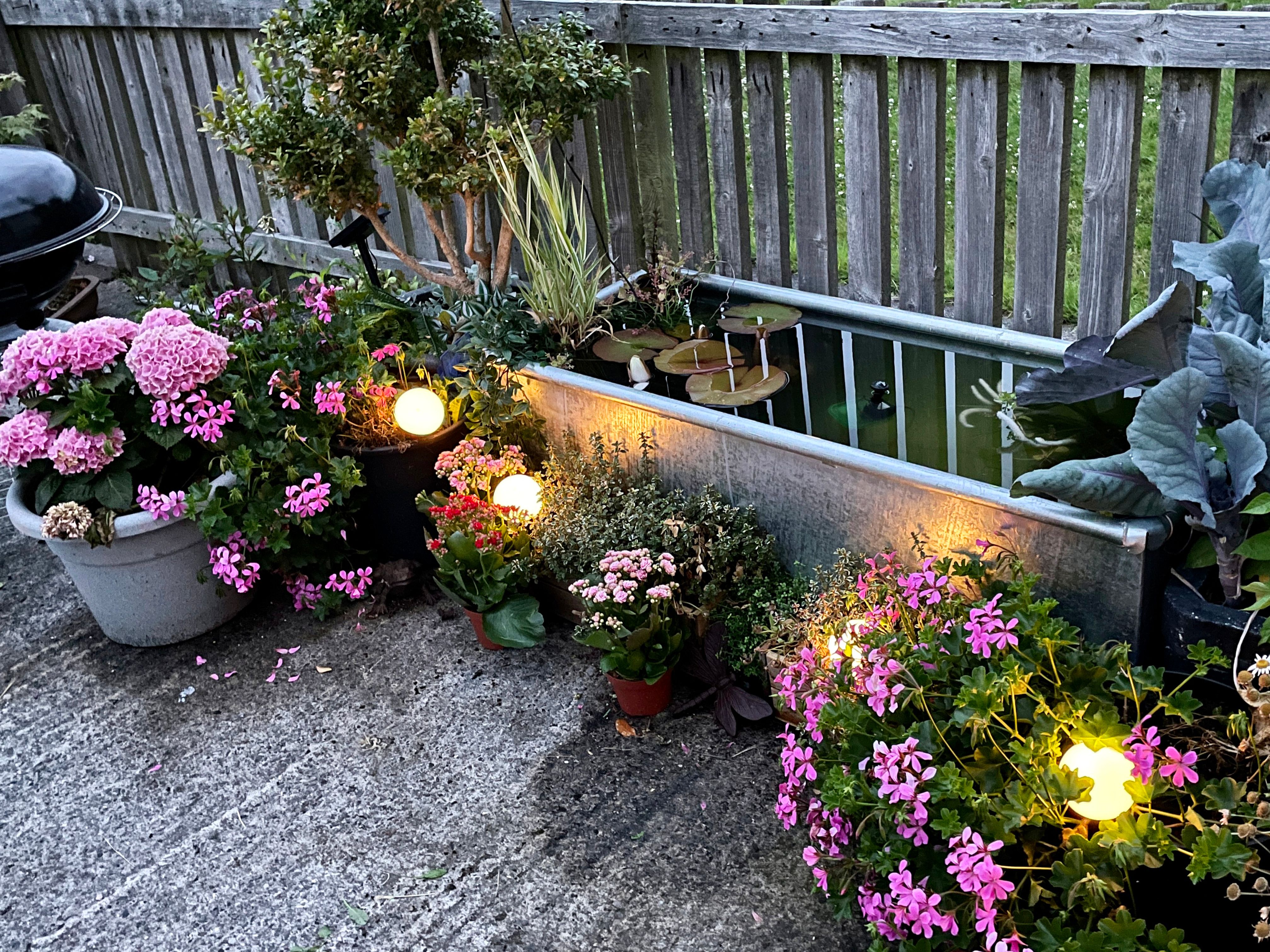 solar garden lights
