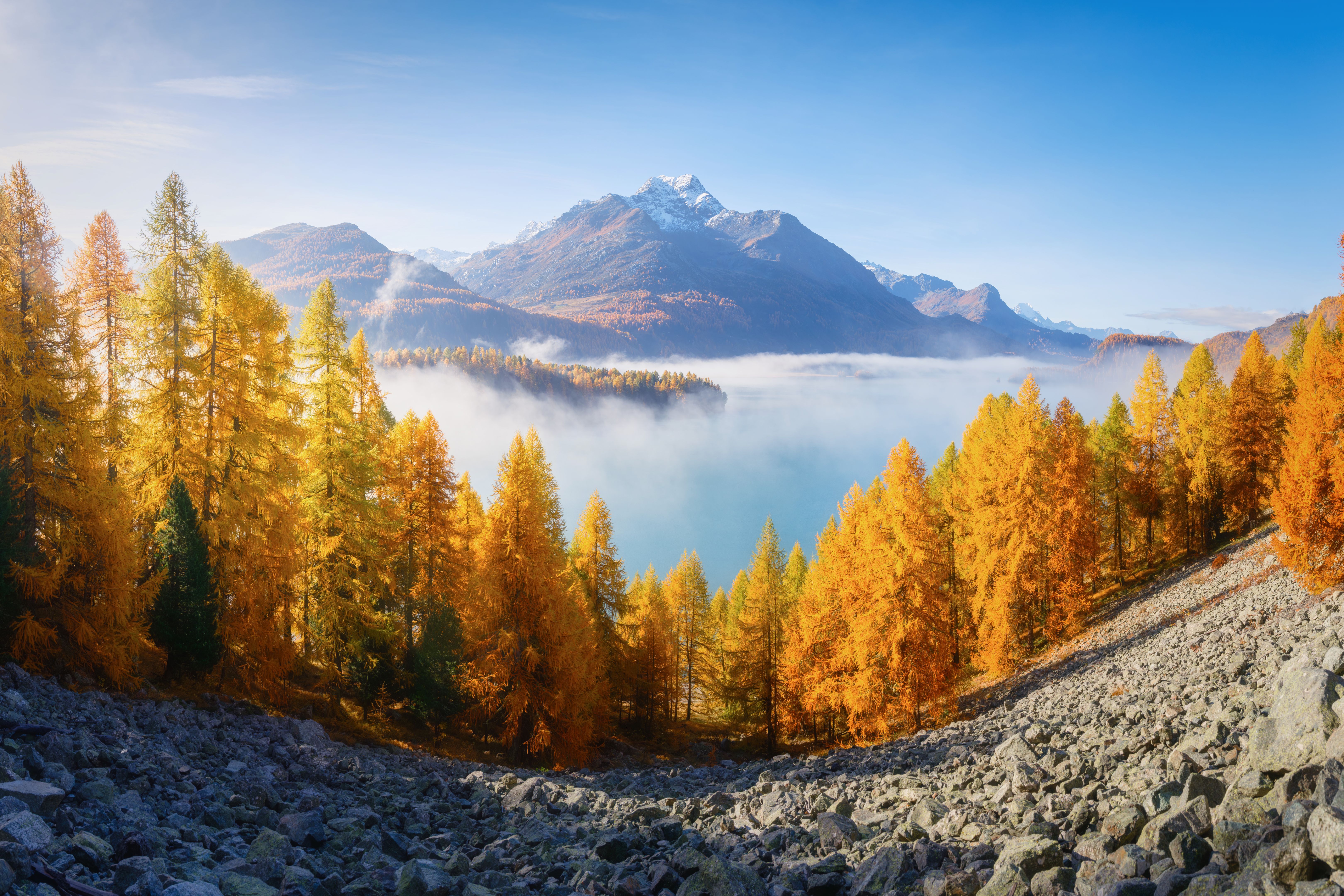Autumn landscape in Switzerland. Sunrise in the mountains. Fog and fall forest. Incredible view of the mountain valley. Photo for background, wallpaper, postcards.