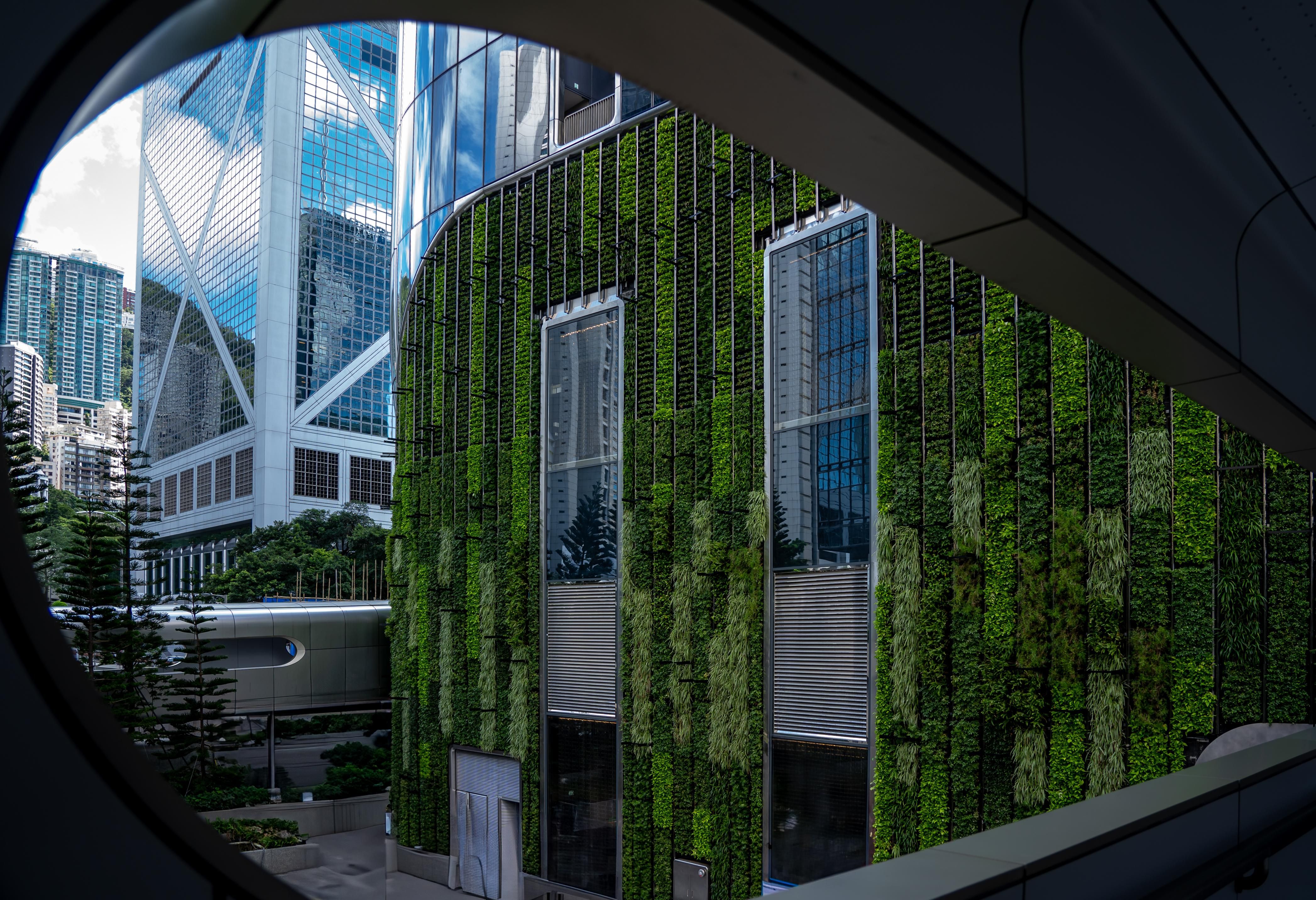 A modern building in Hong Kong with a vertical green wall and windows that reflect the city's skyline. A modern building in Hong Kong with a vertical green wall and windows that reflect the city's skyline.