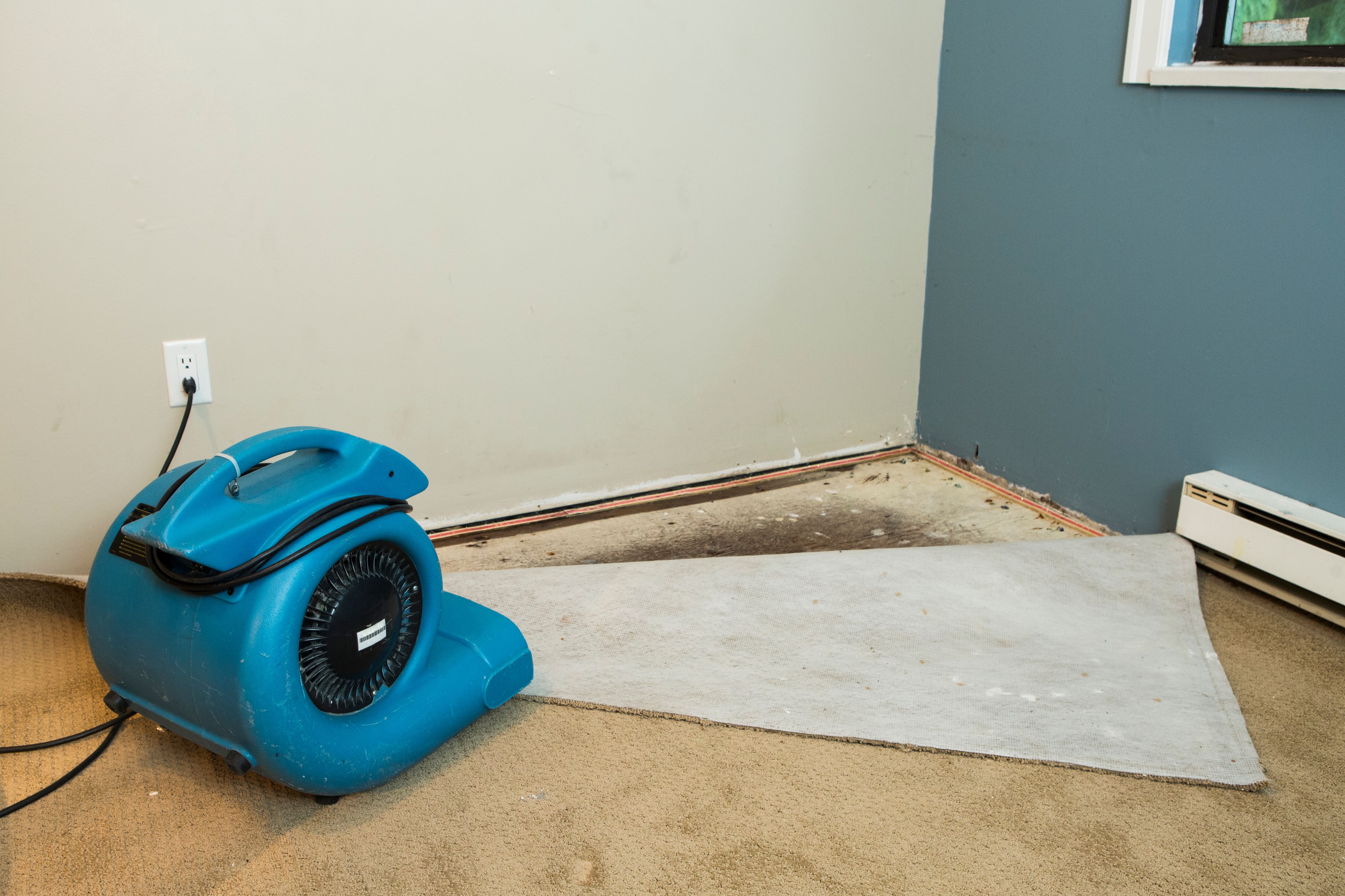 carpet drying