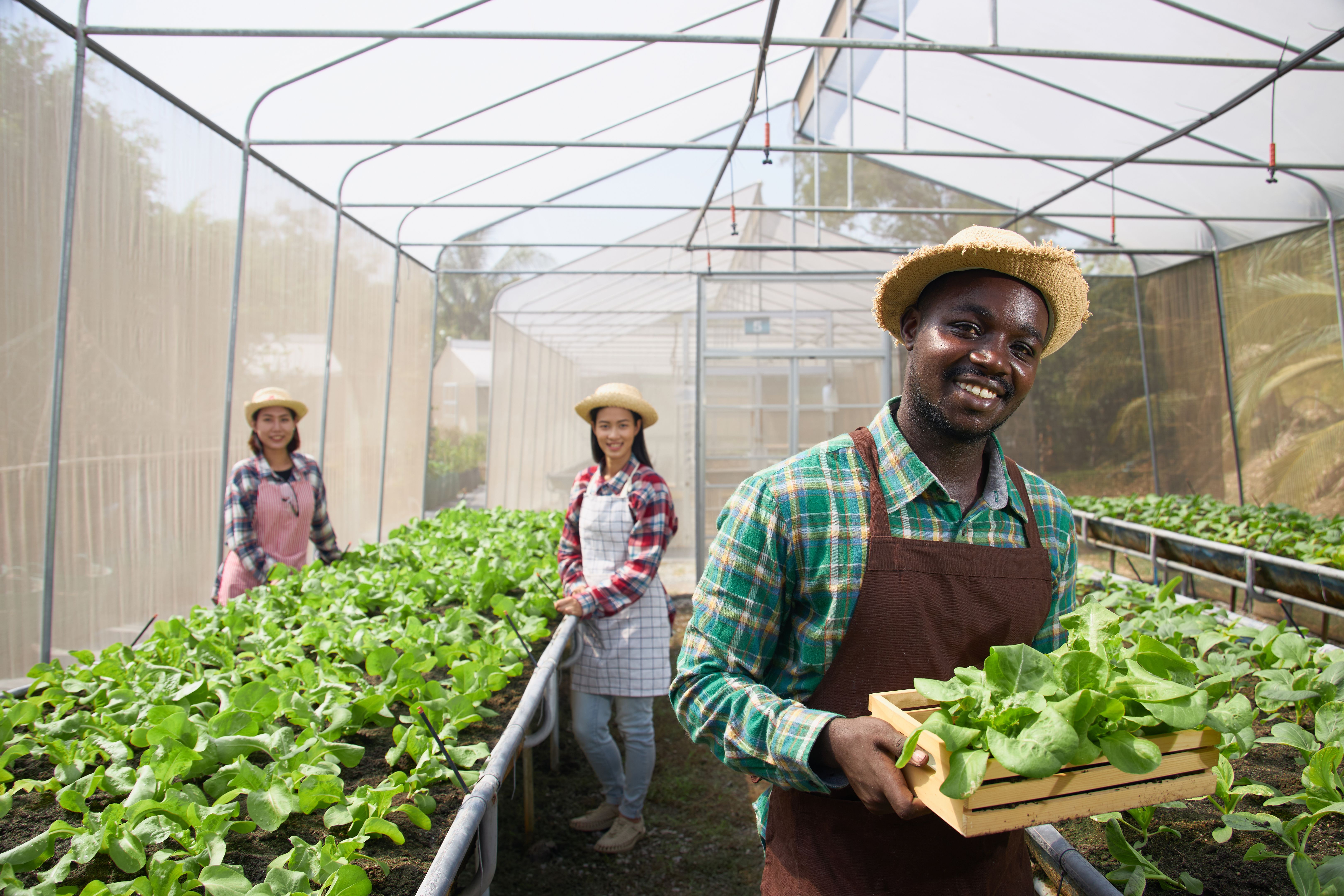 Happy farmers inside the nursery. Happy farmers inside the nursery.