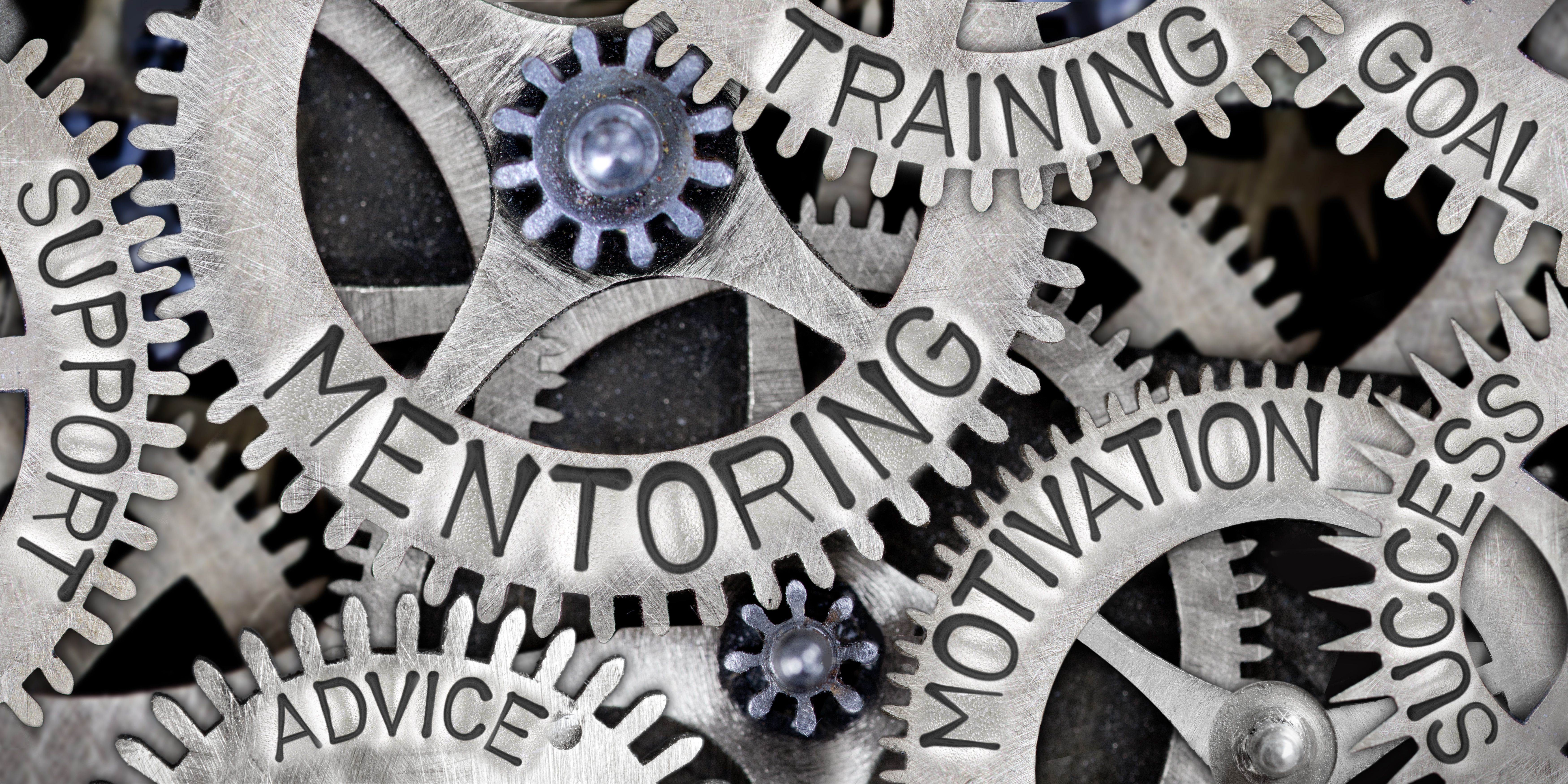 accountability coaching