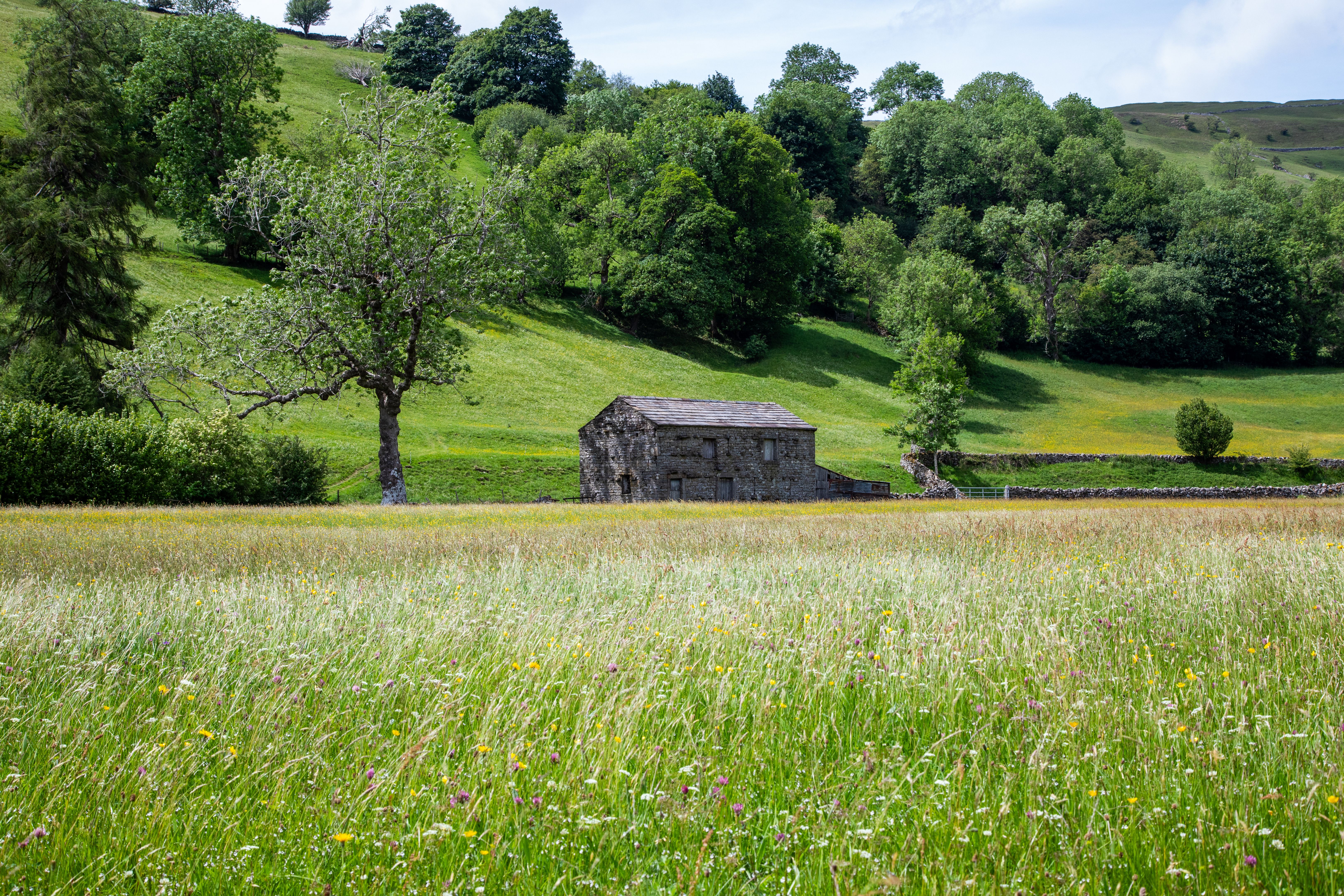 Yorkshire Dales landscape