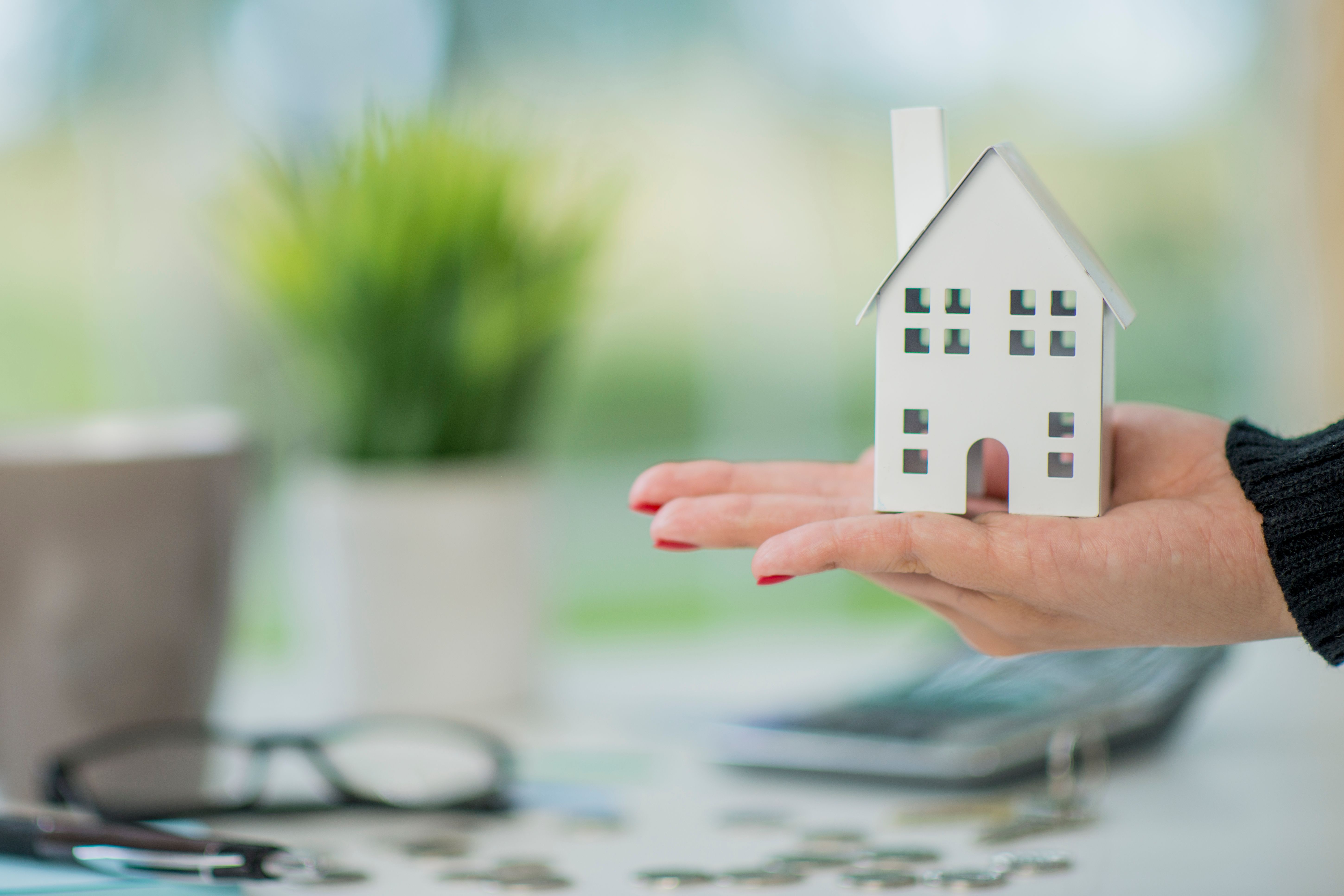 valorizacion mas alta de la región