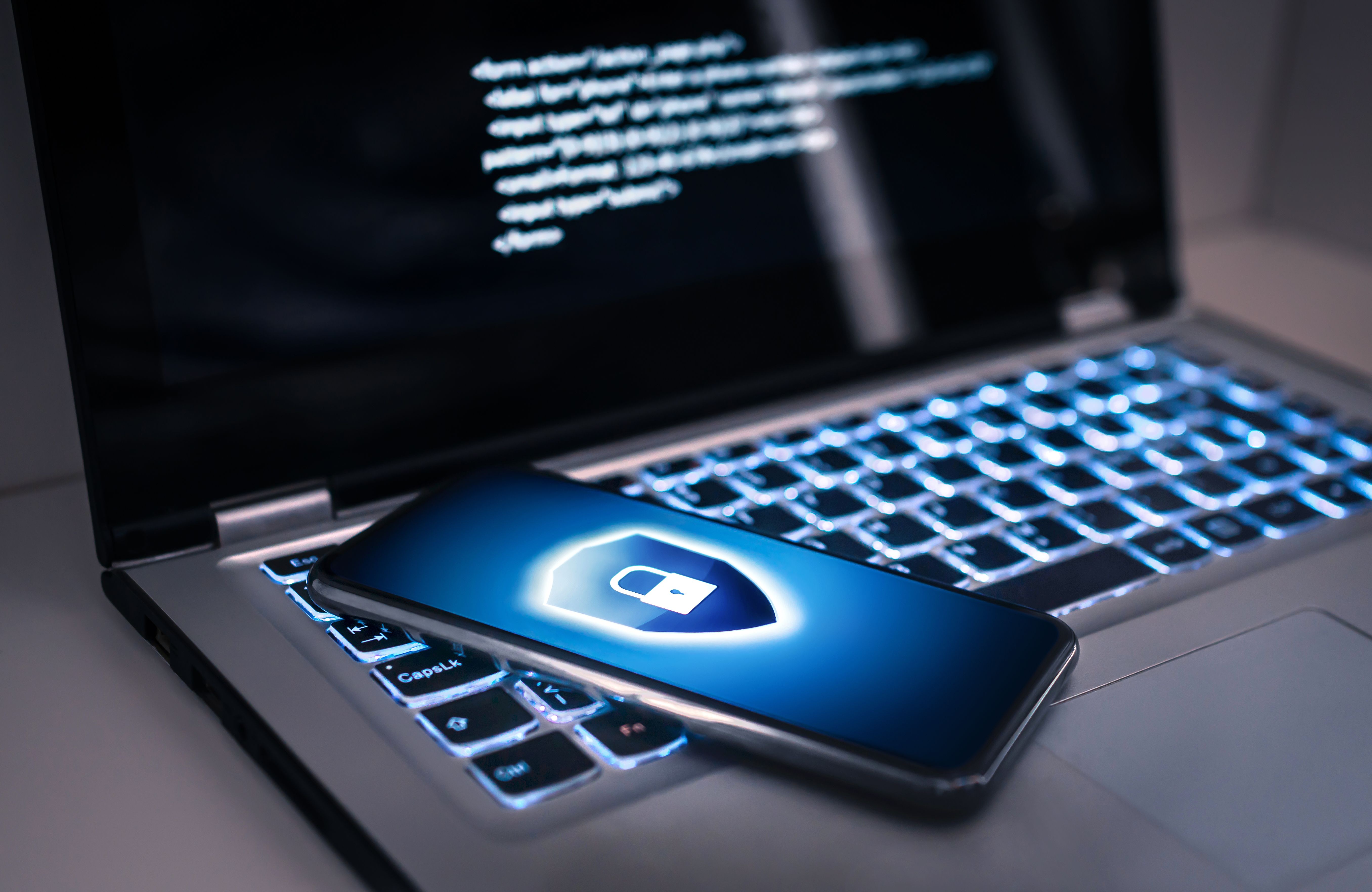 online fraud protection