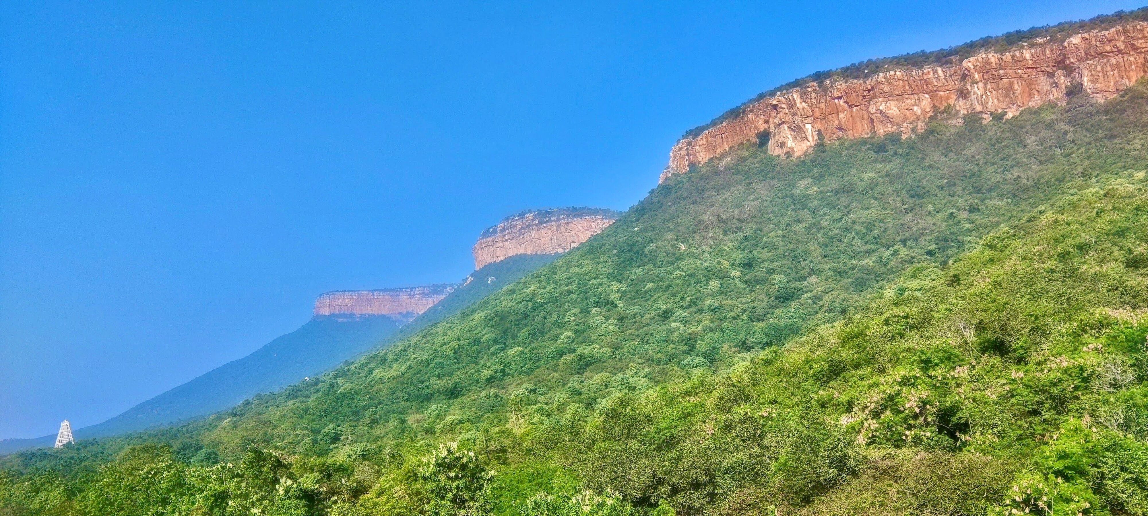 tirumala hills