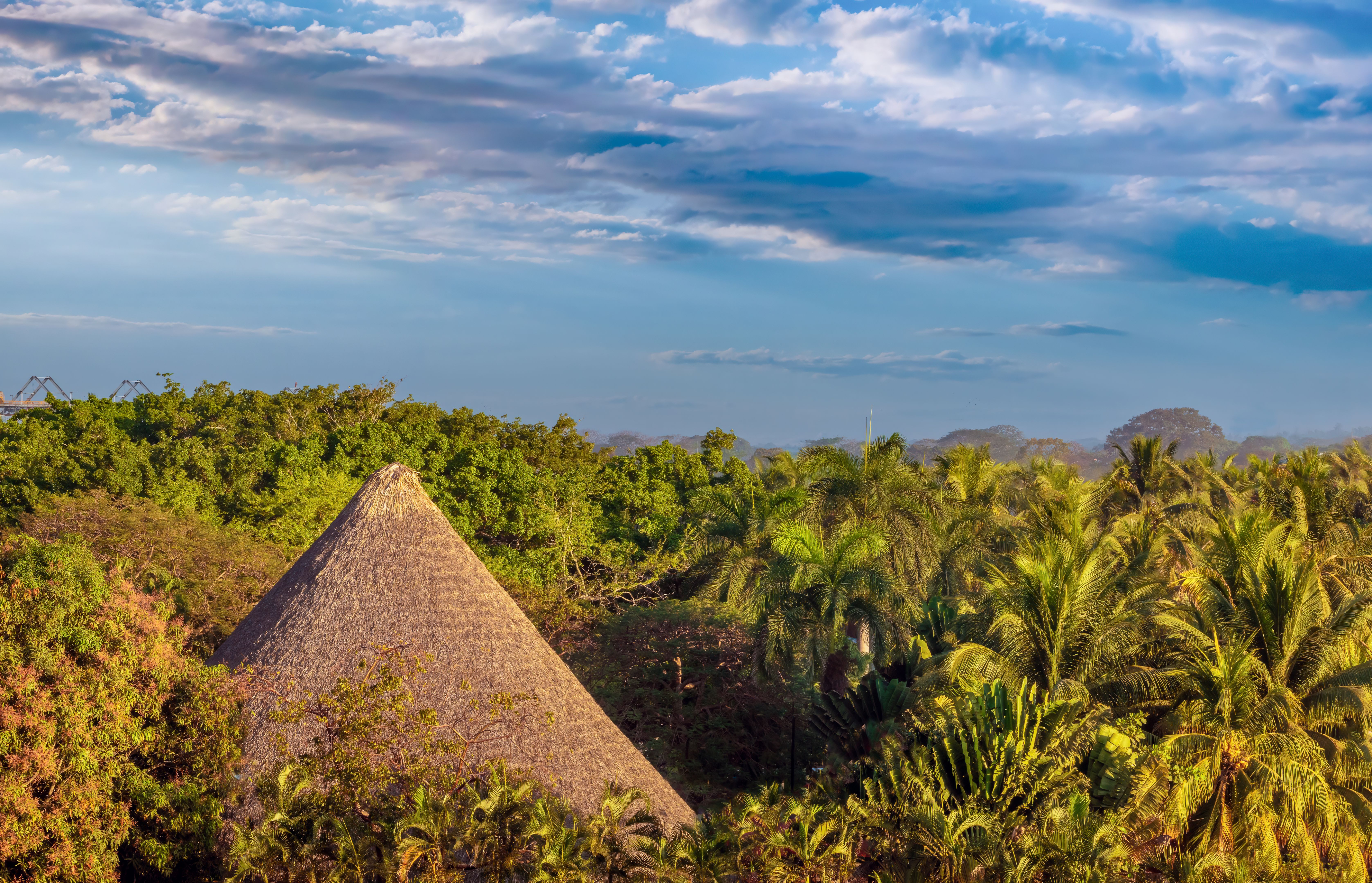 rainforest house rainforest house