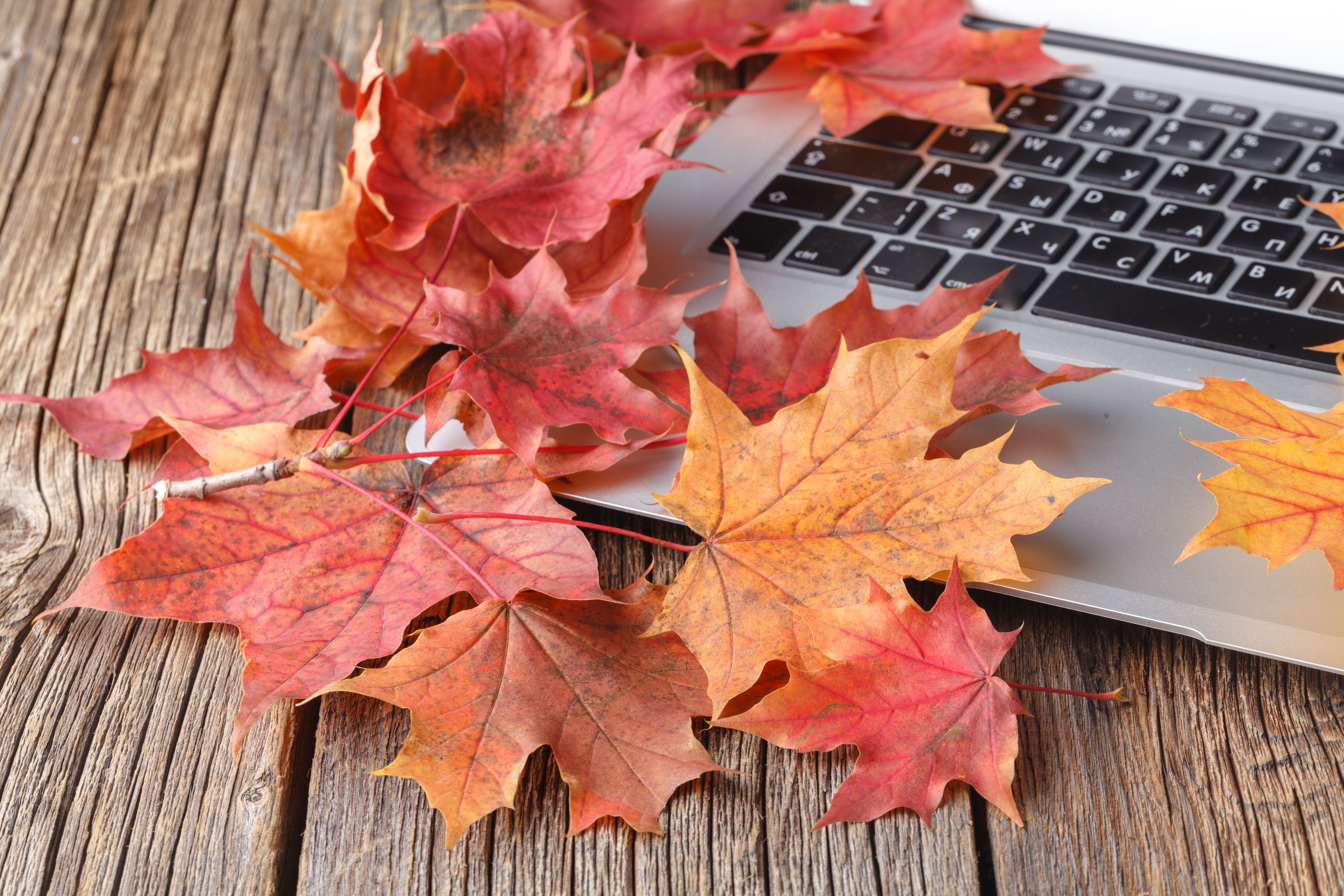 autumn business security