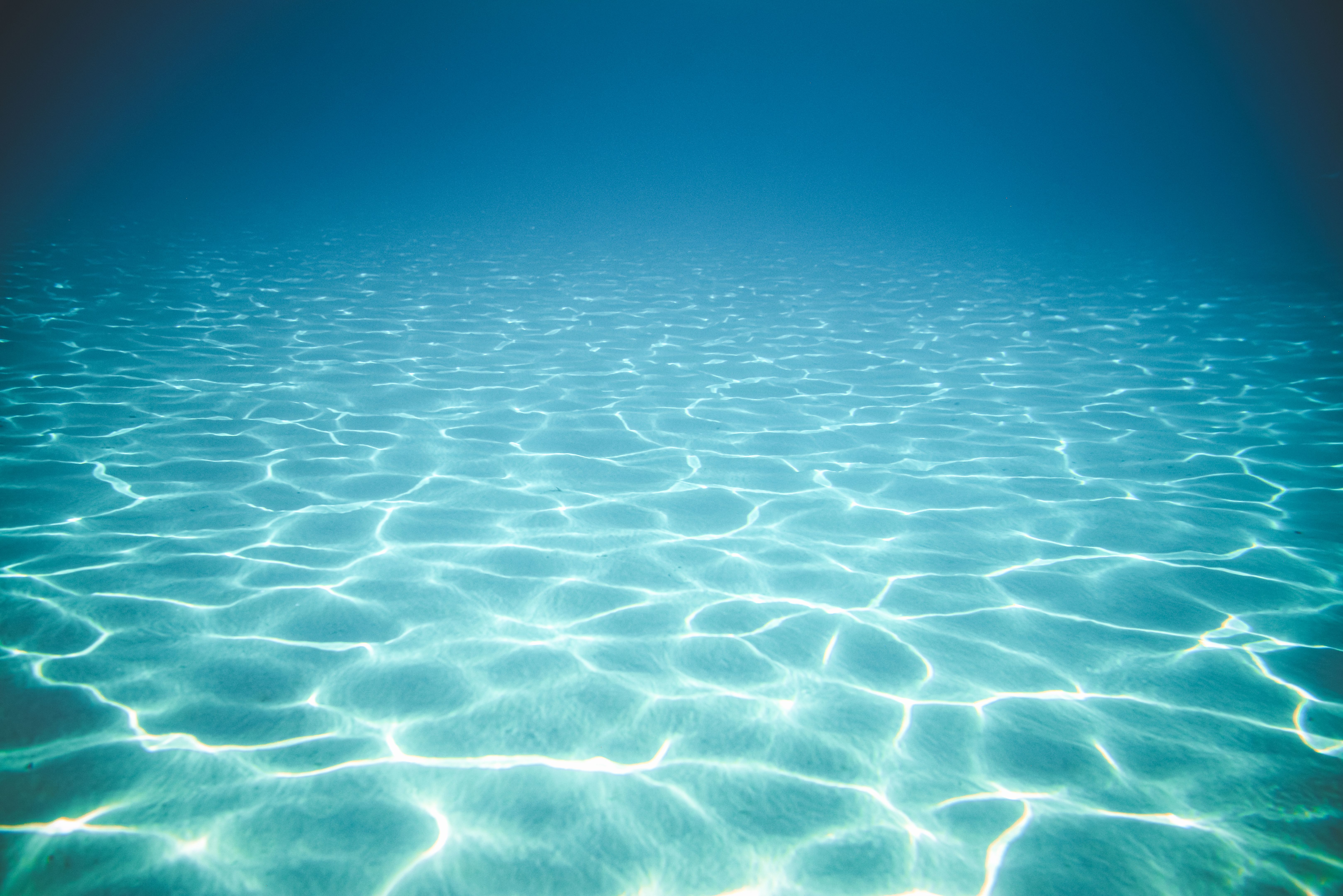 underwater photography