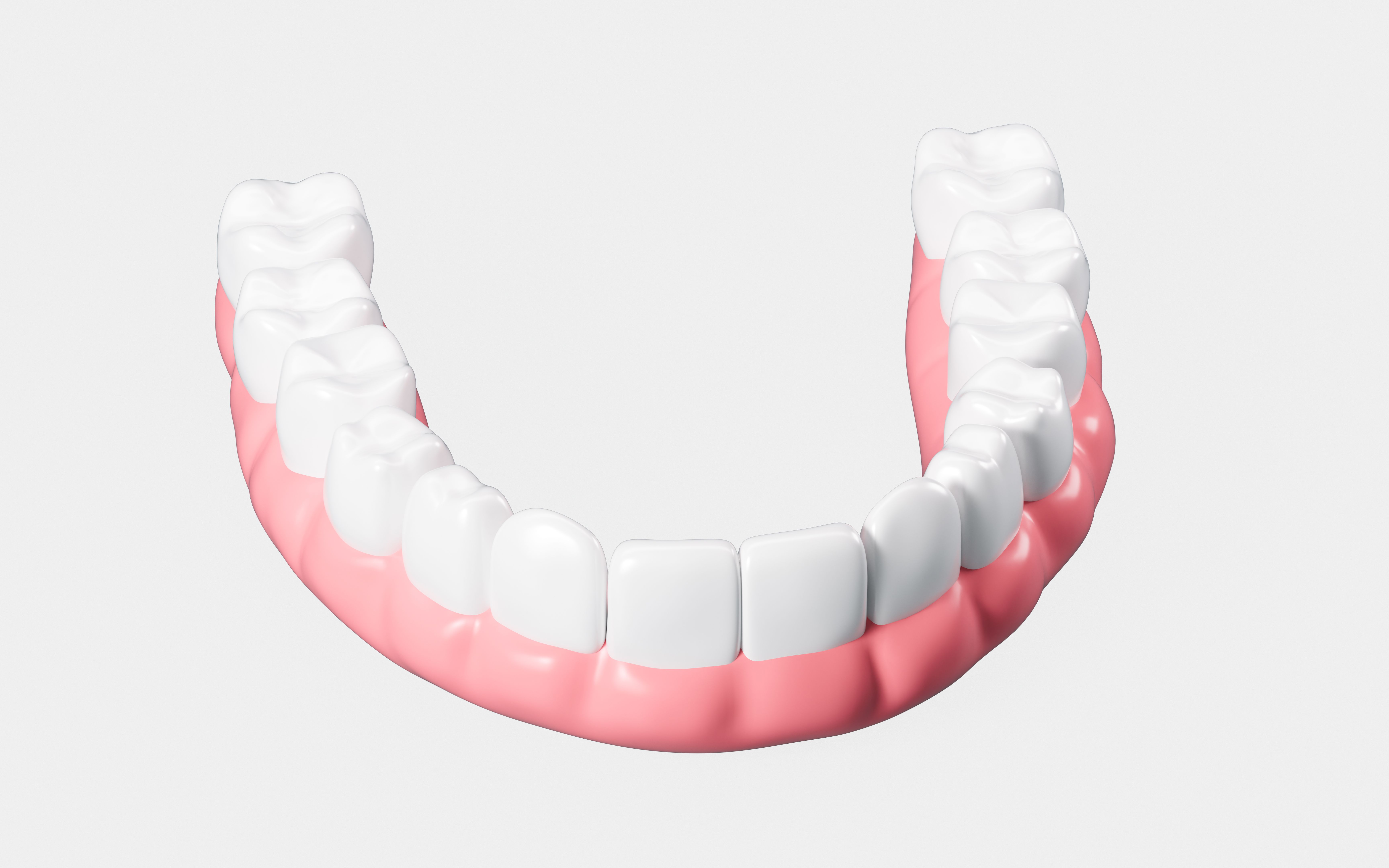 3d model teeth