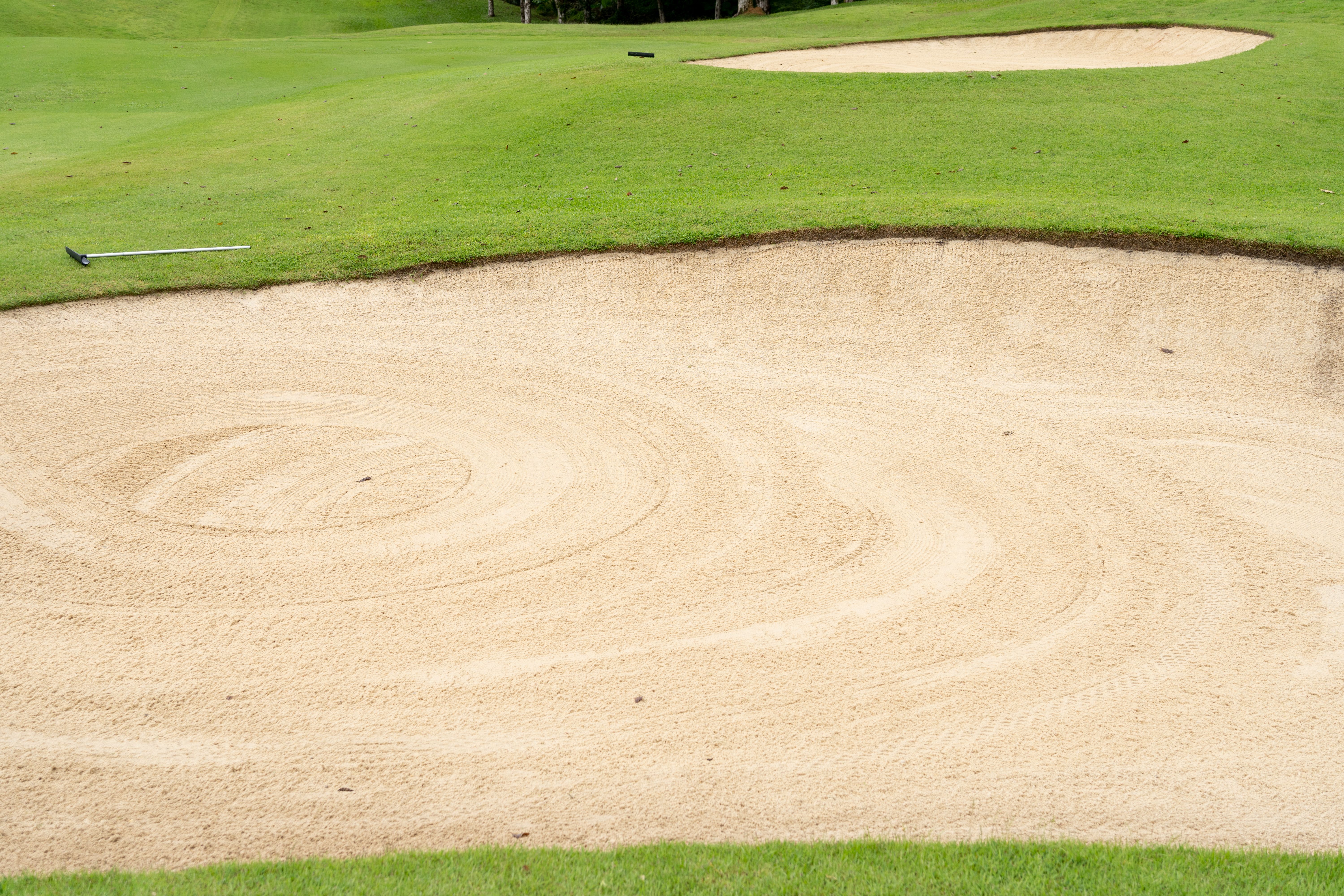 golf success stories