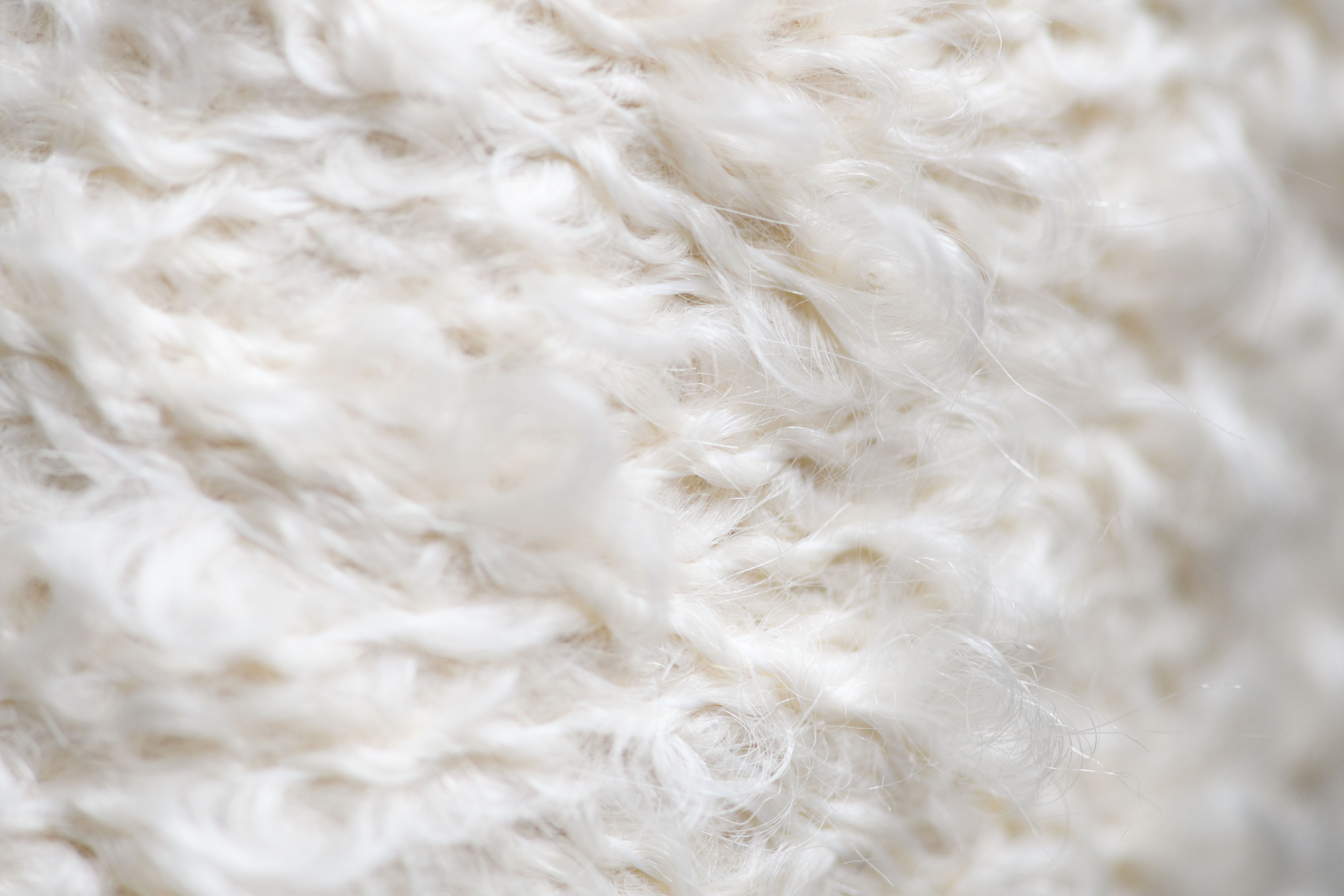 wool carpet close-up