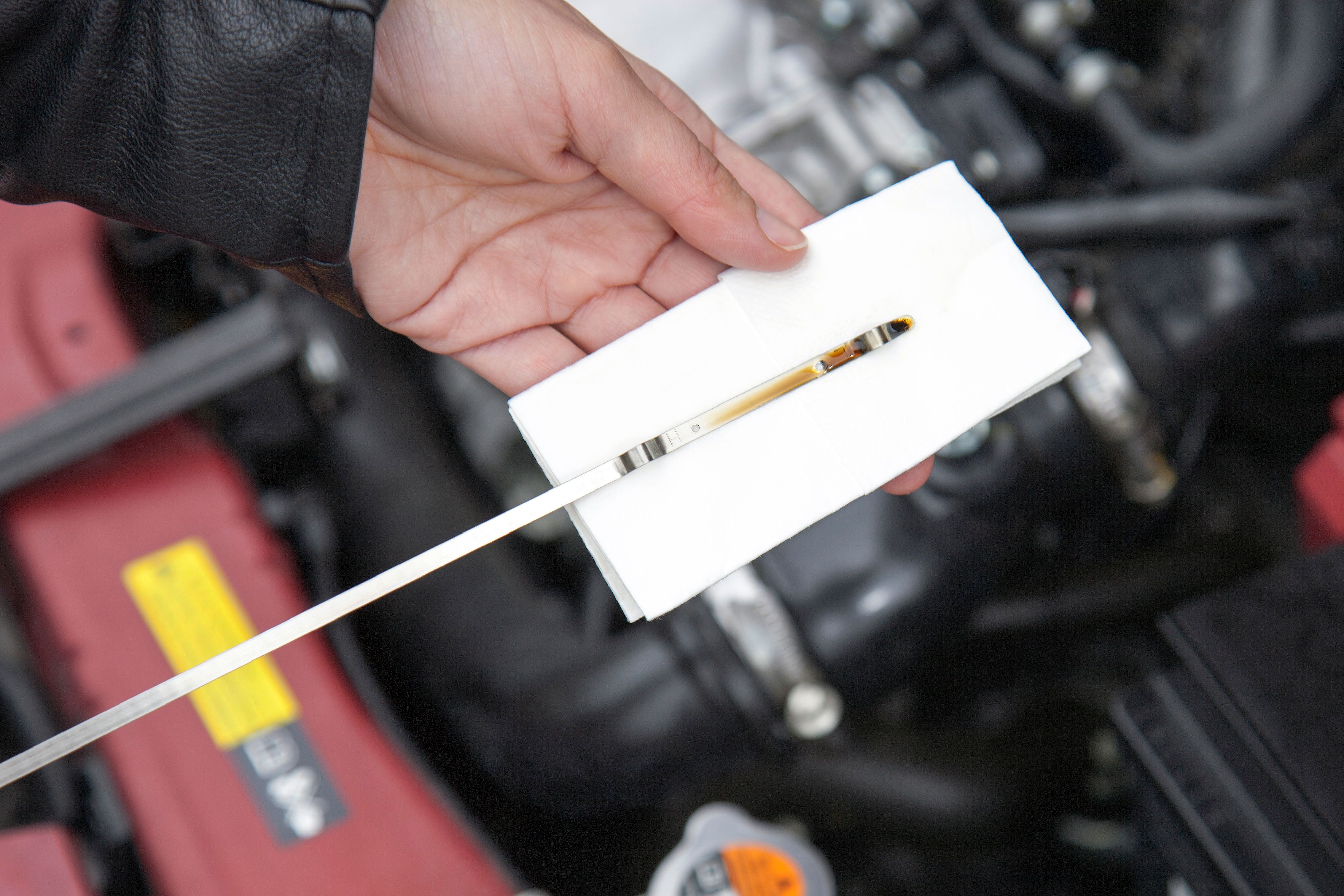 antifreeze check