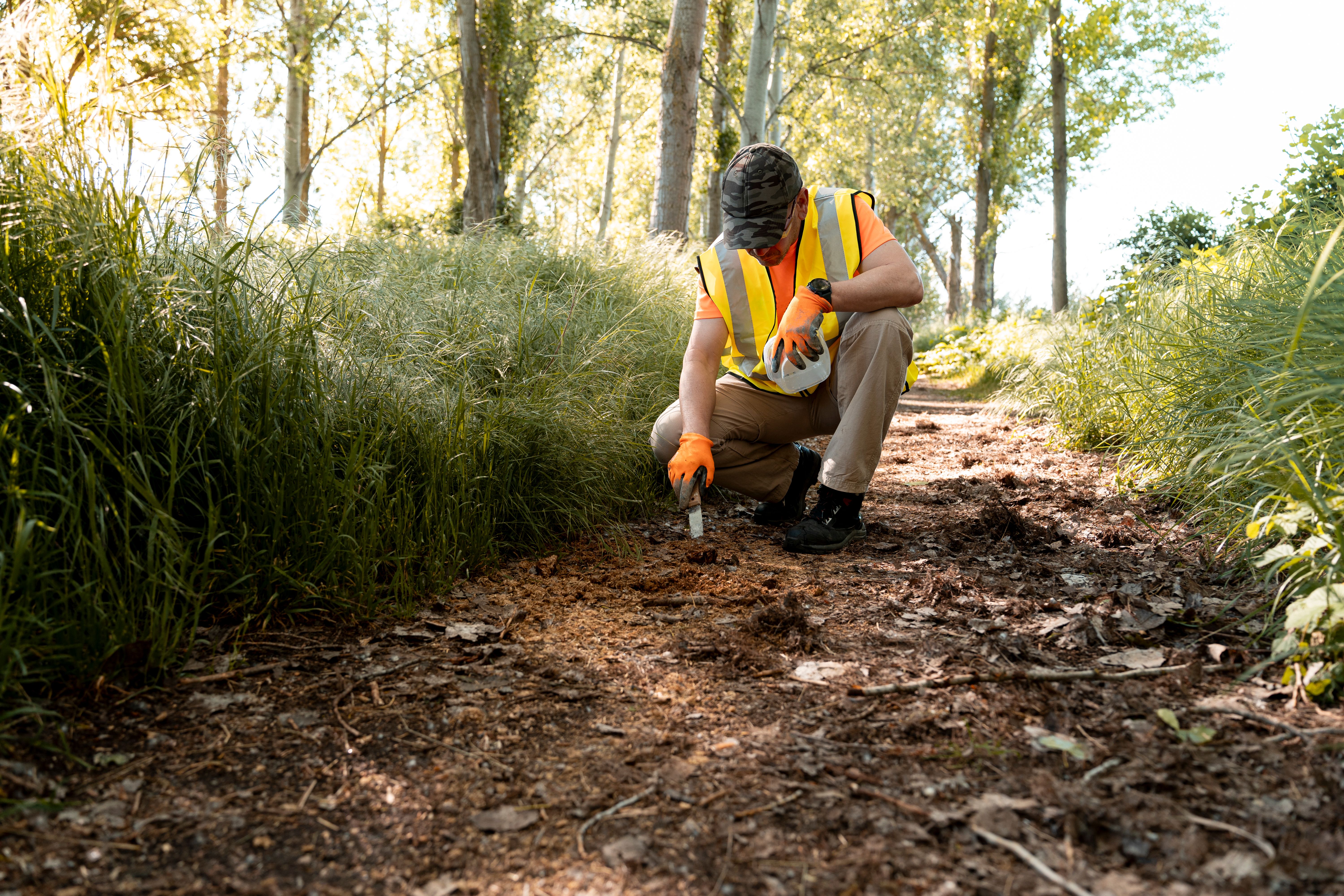 environmental impact assessment