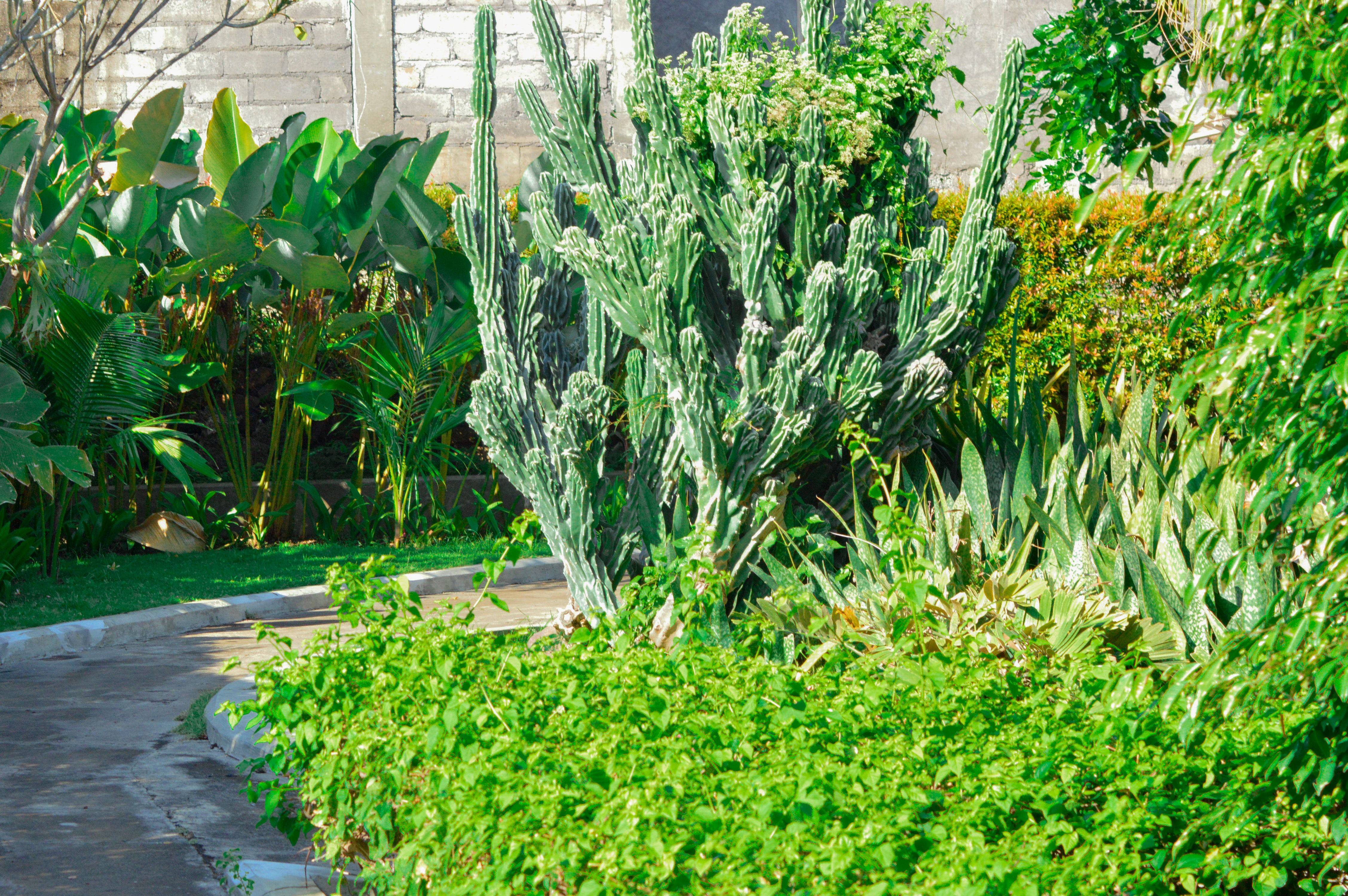 local garden climate