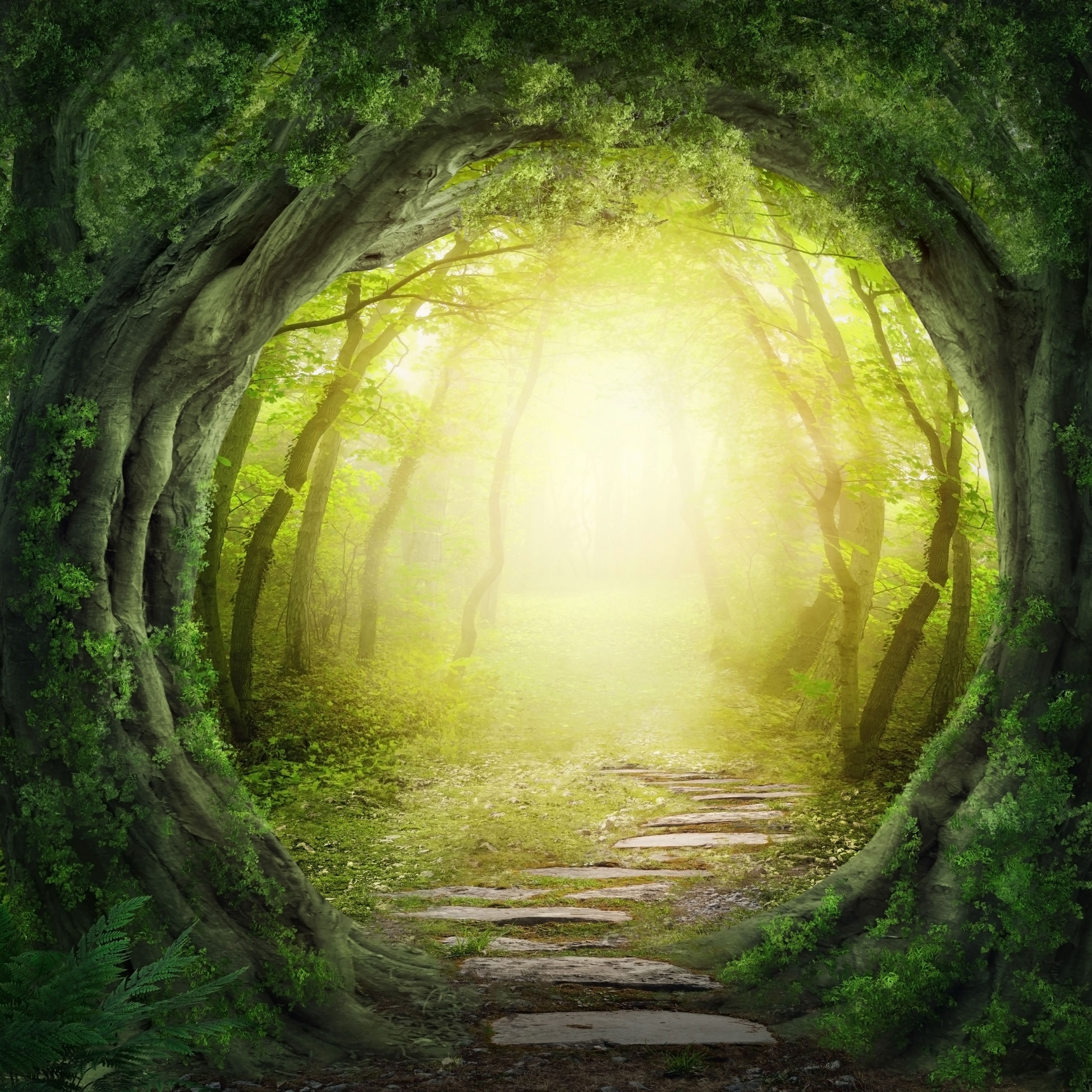 Camino de piedra en el Bosque Mágico conduce a opacidad de la luz
