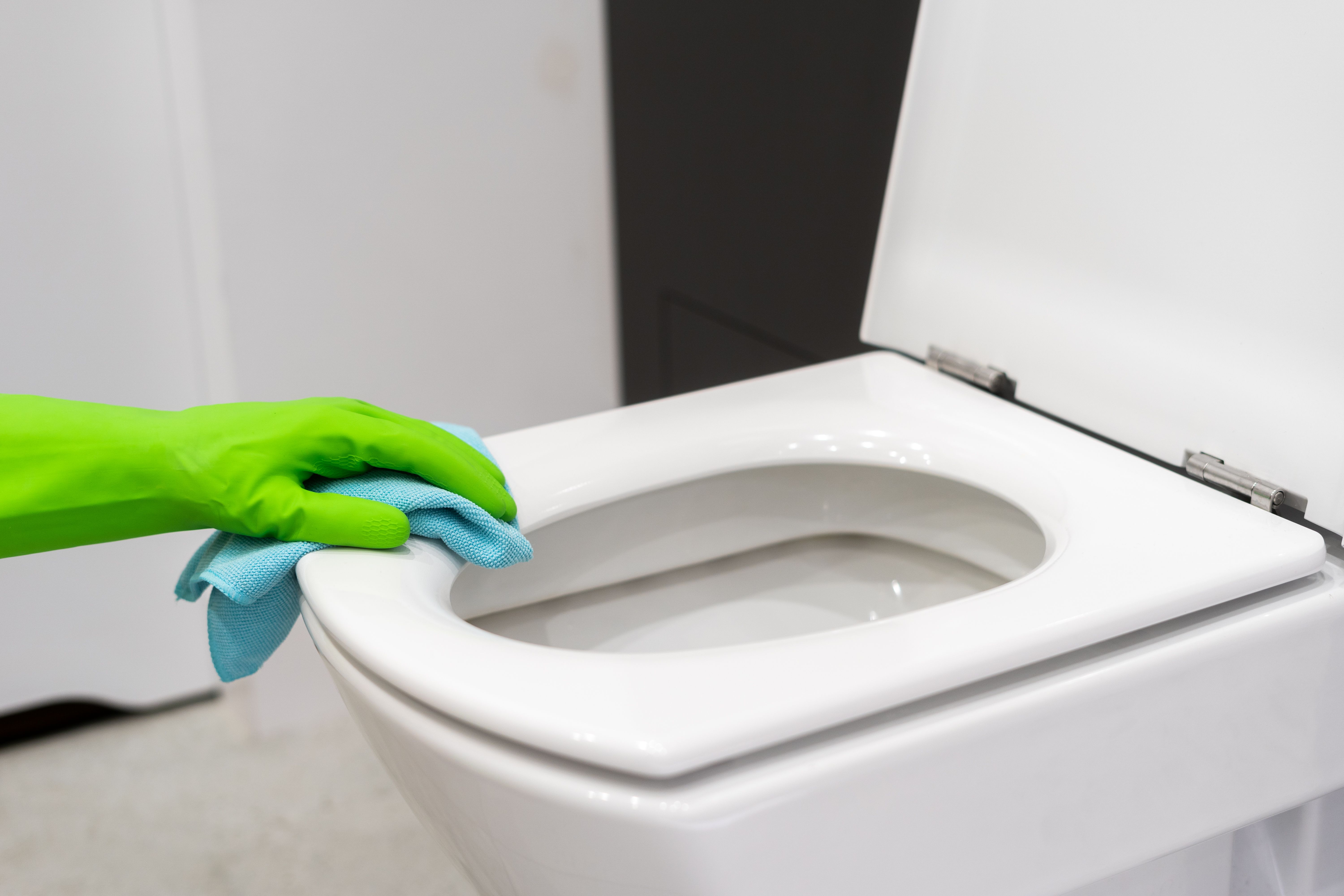 bathroom cleaning