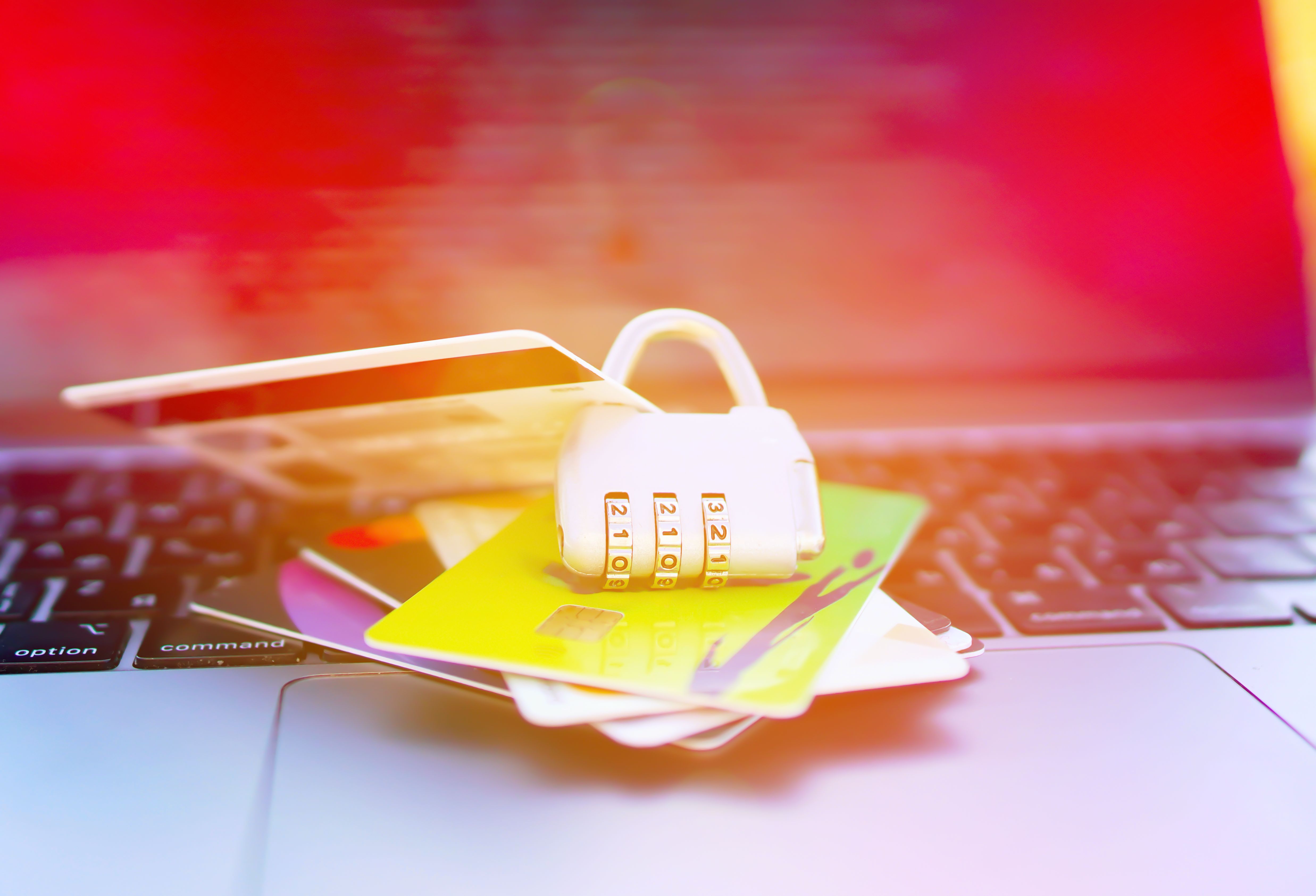 online shopping security