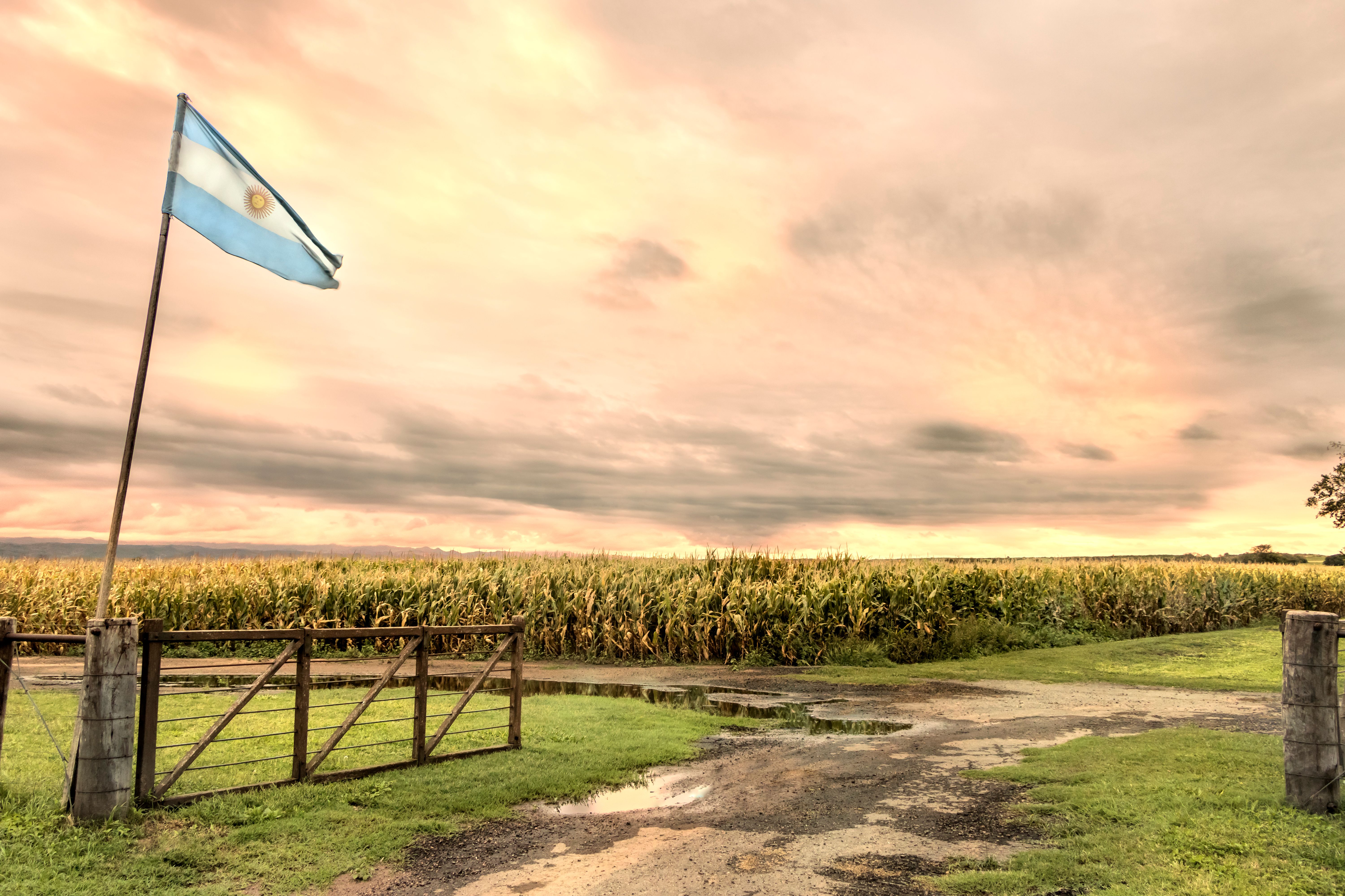 argentina agriculture innovation