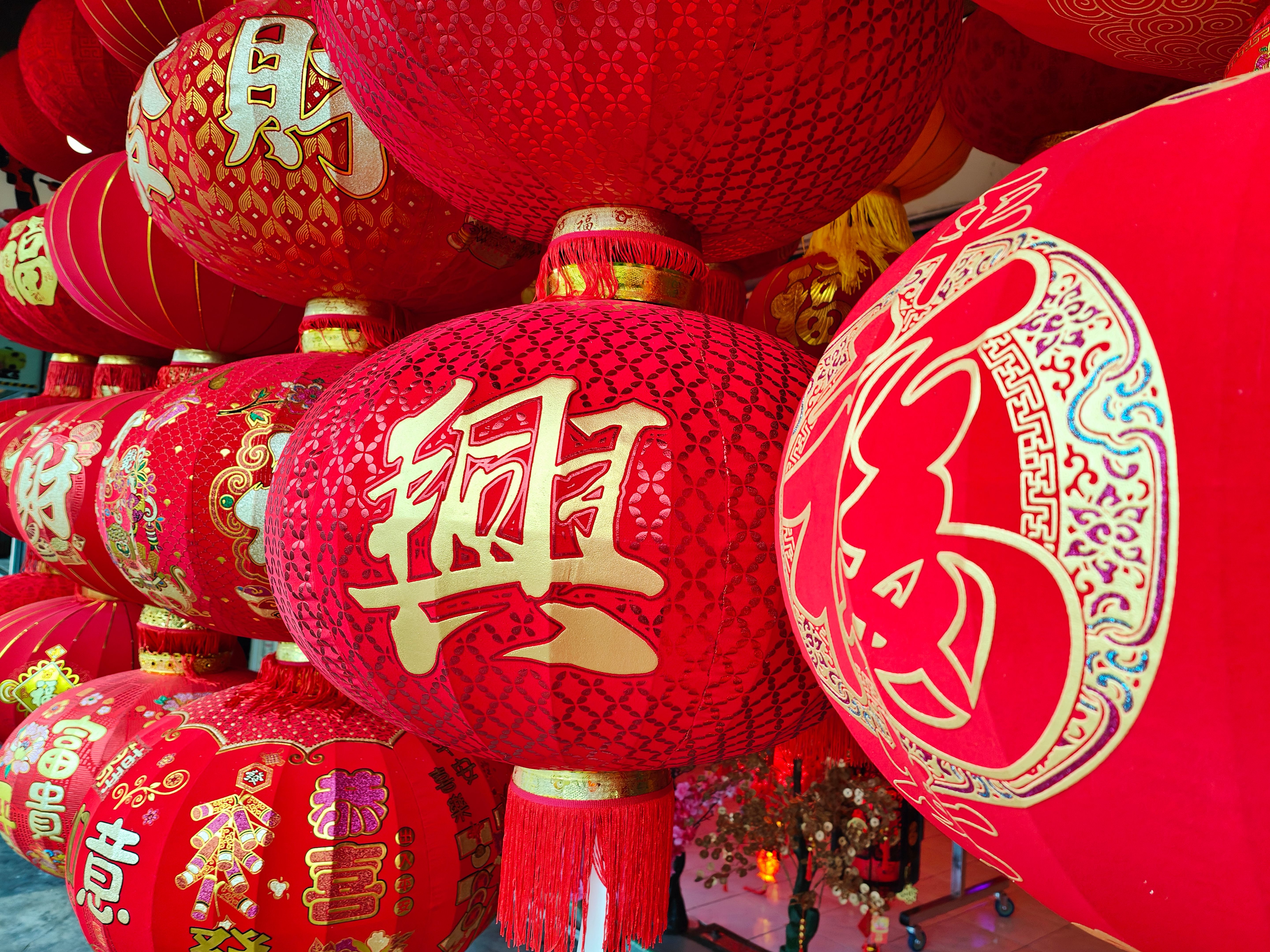 festival international