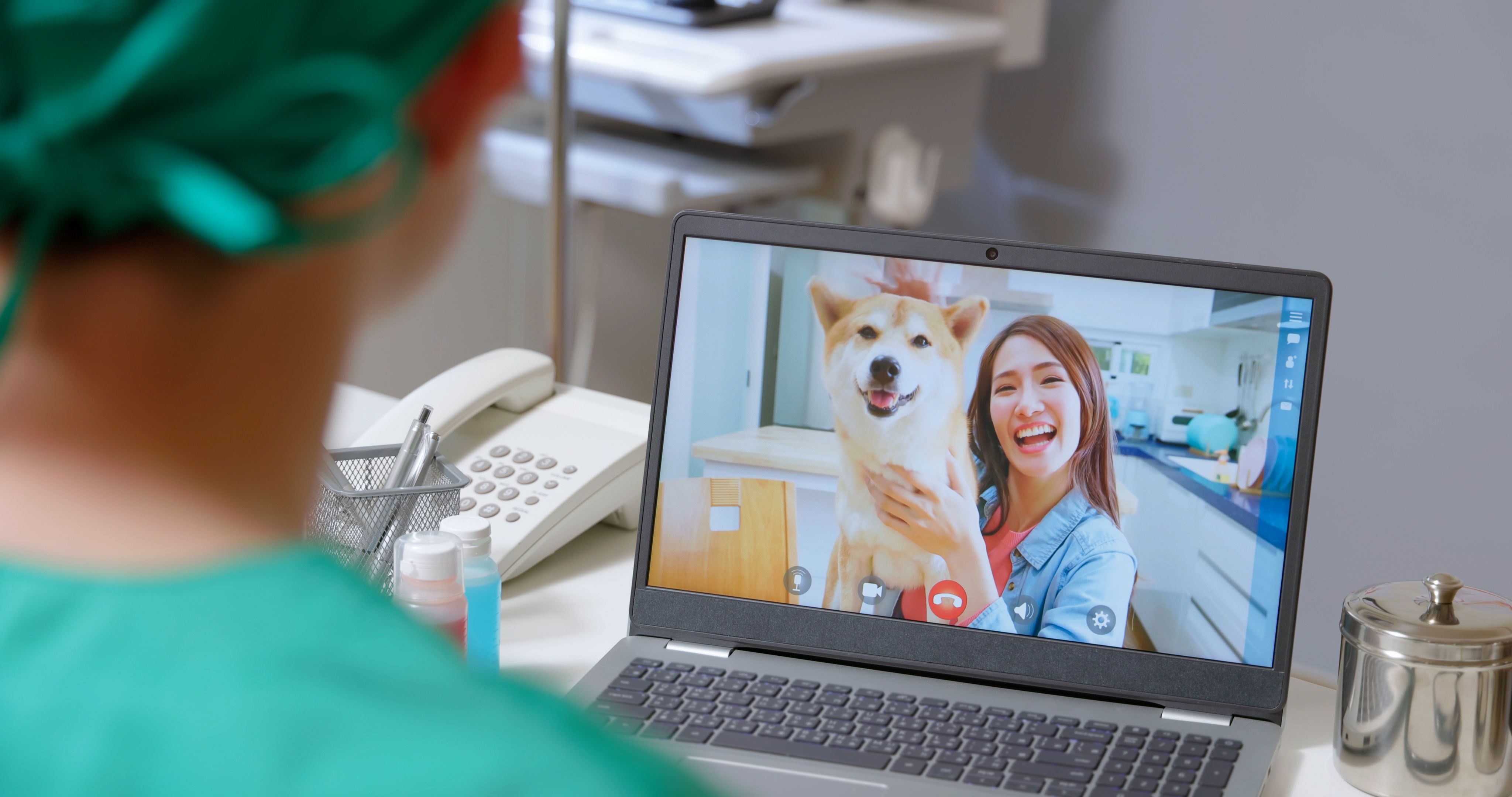 vet consultation