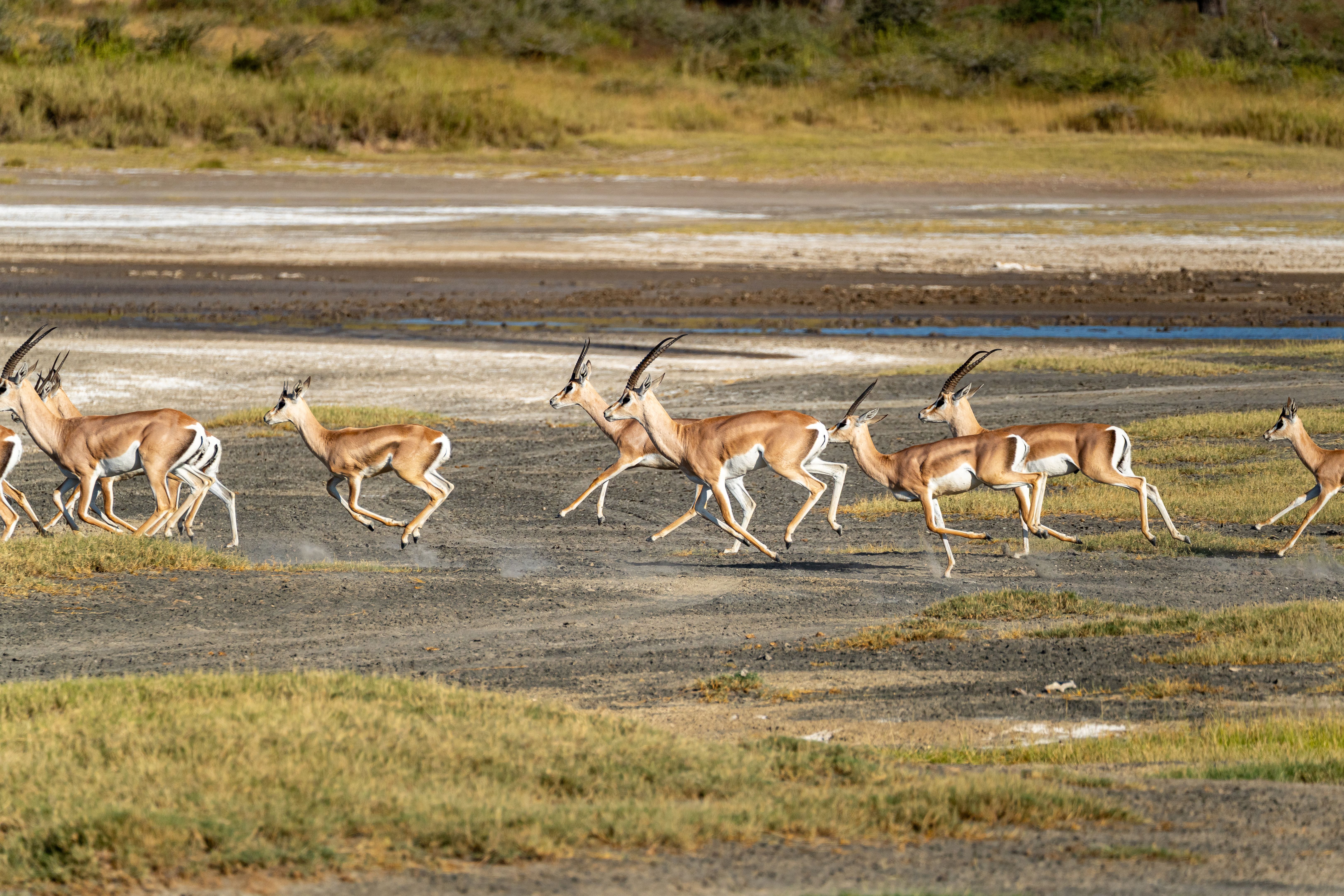 conservation Tanzania
