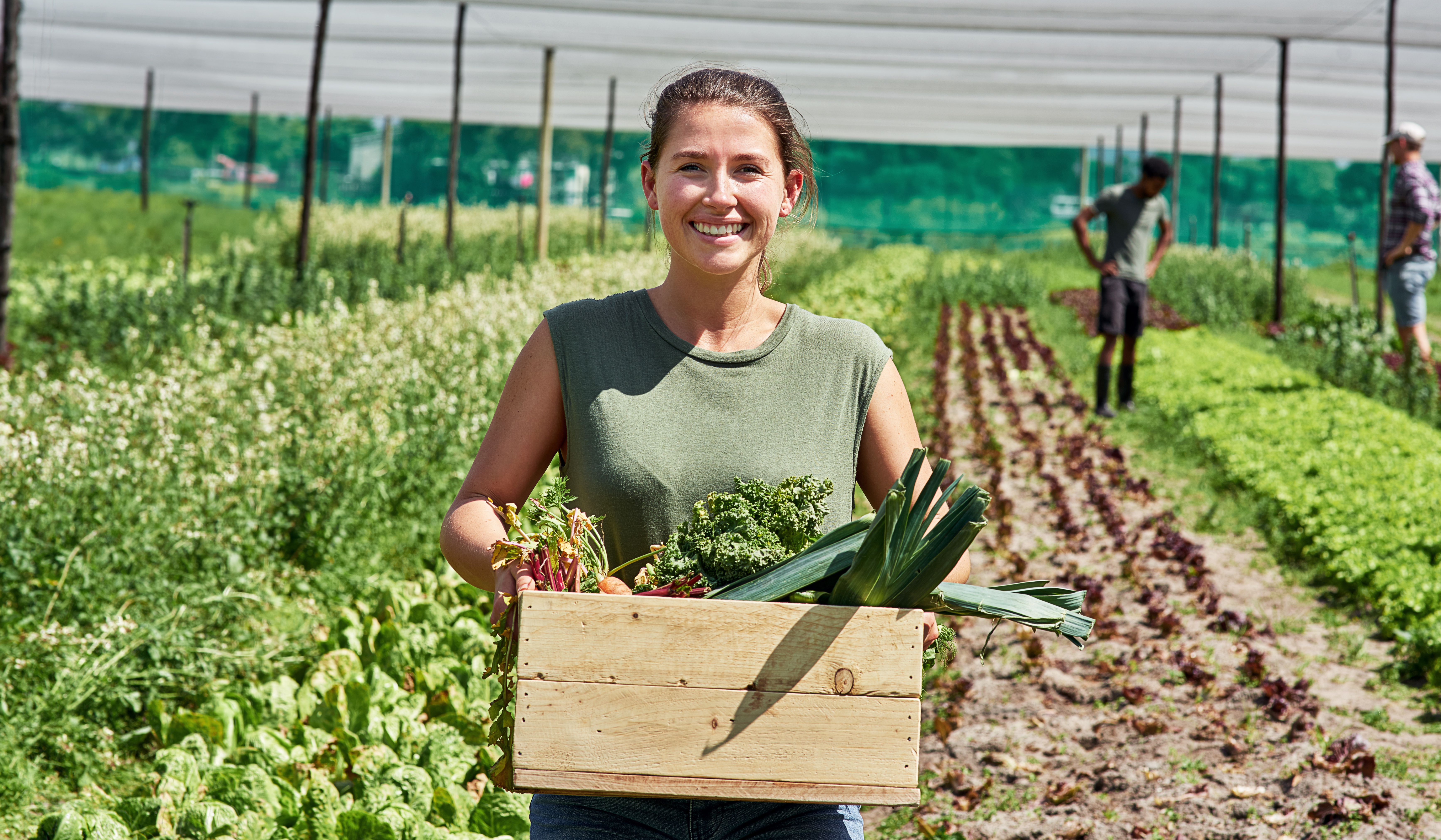 local farmers