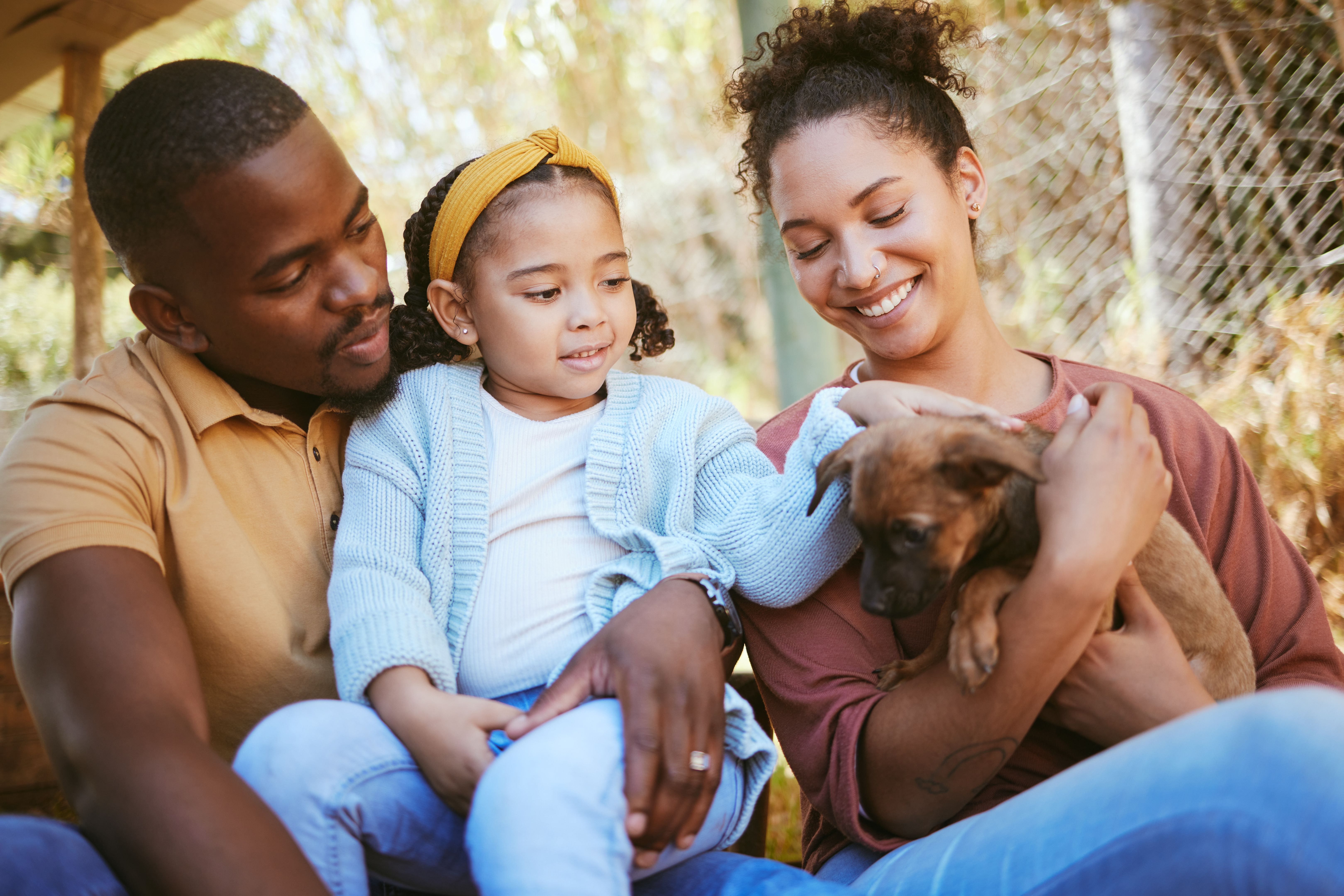 puppy playing family