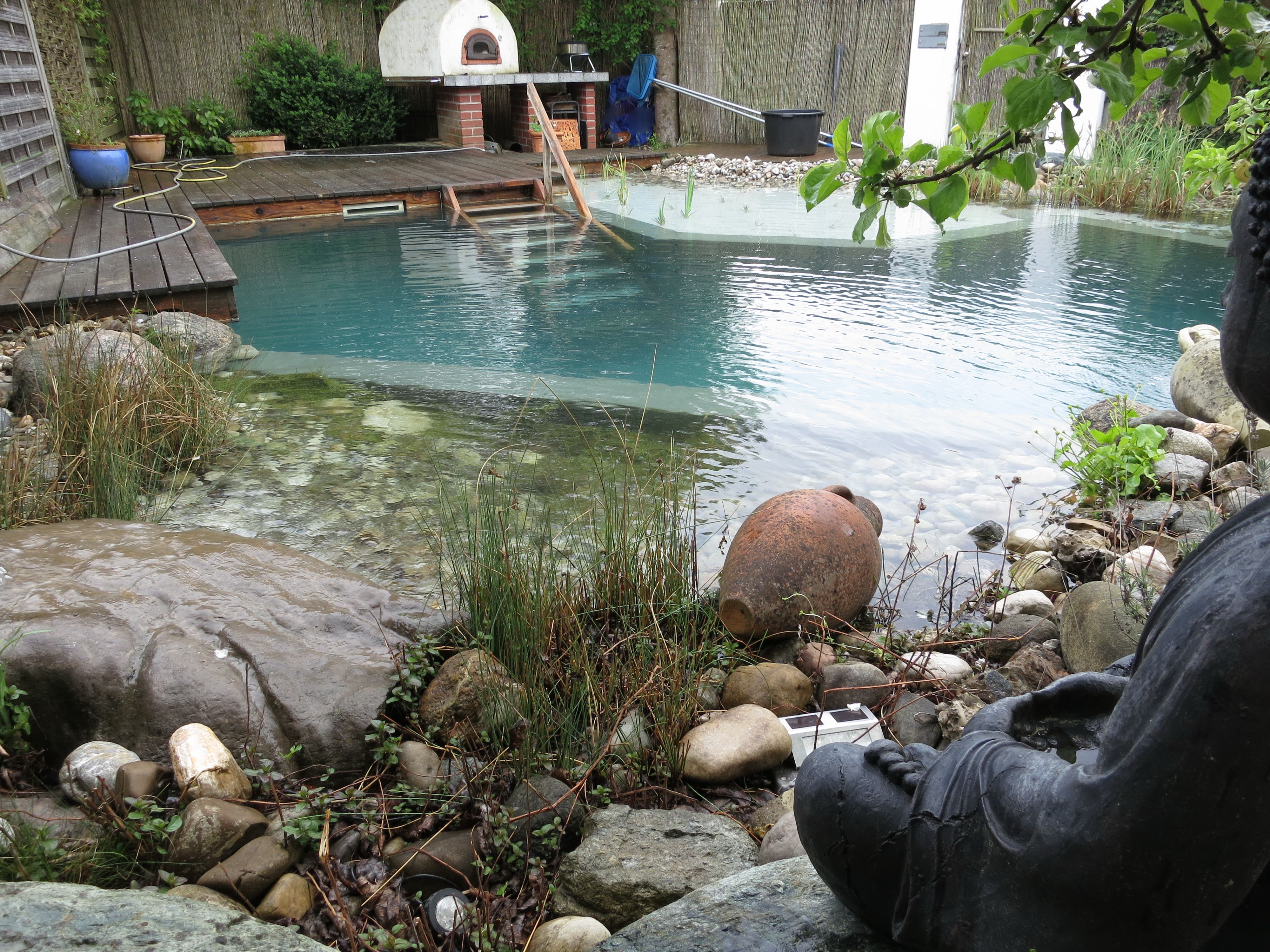 natural pool elements