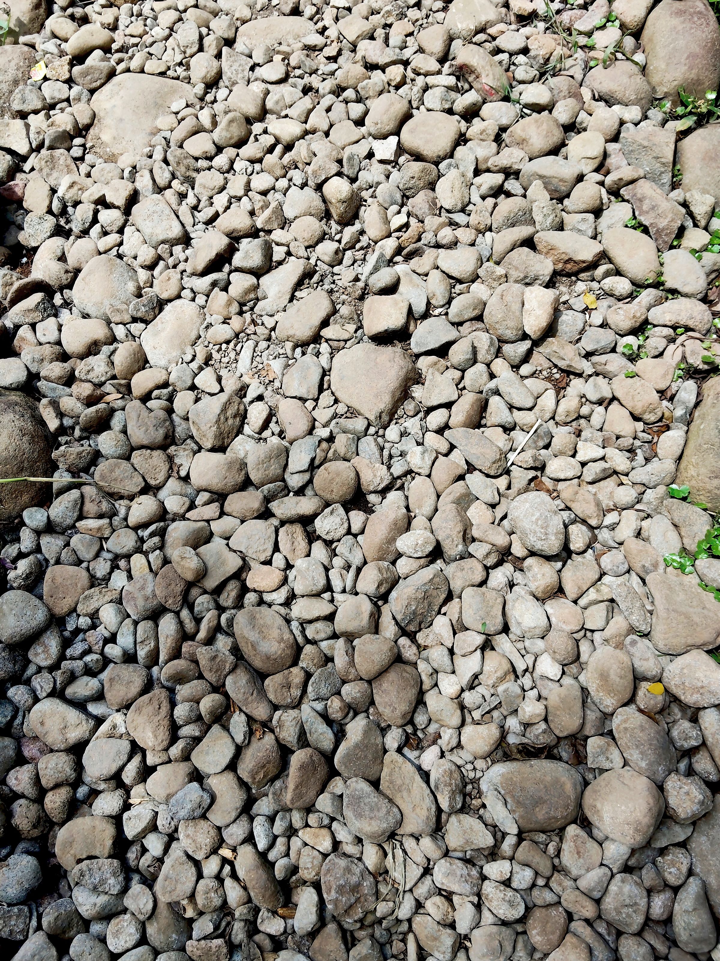 river rocks garden