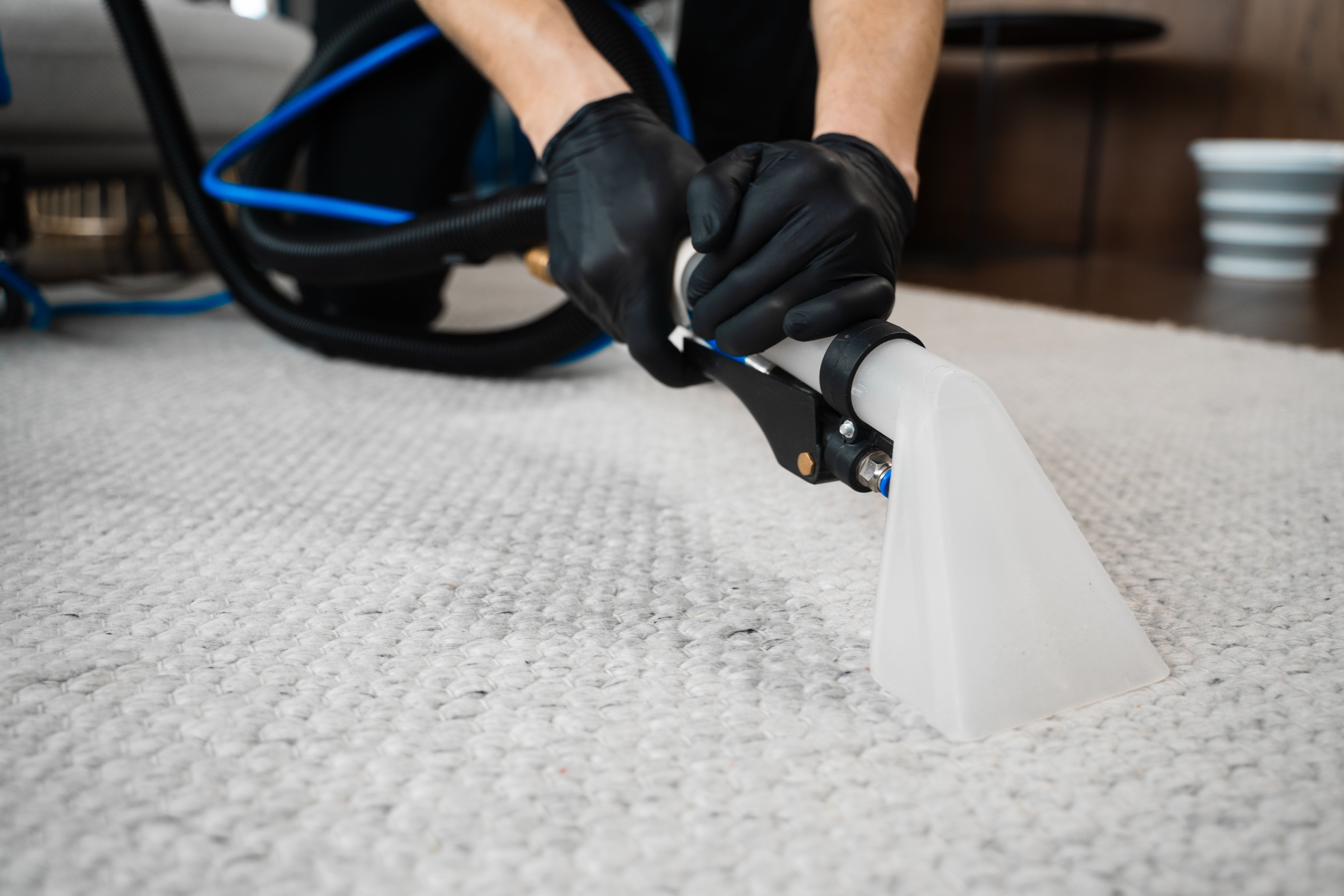 carpet cleaning