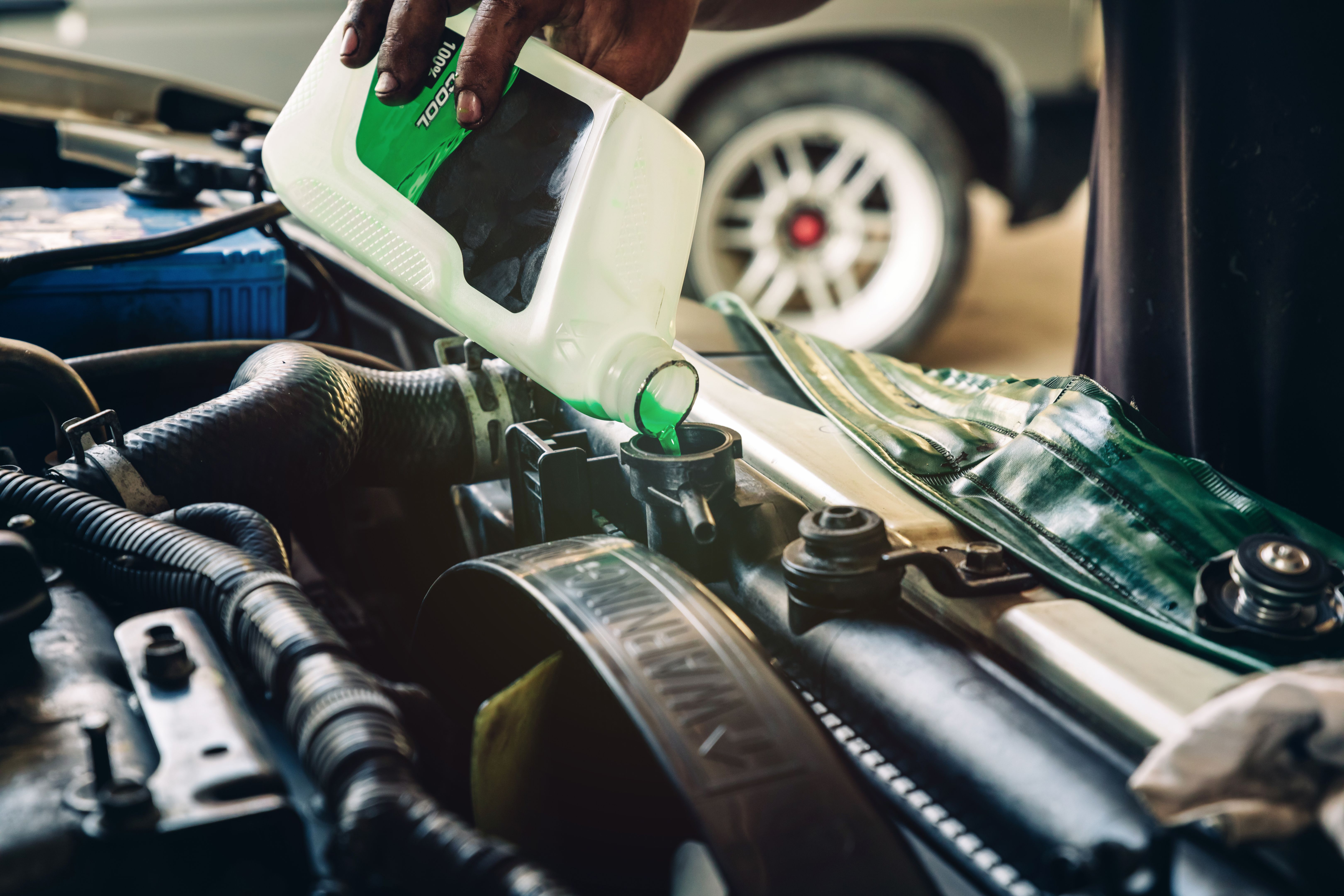 car antifreeze check