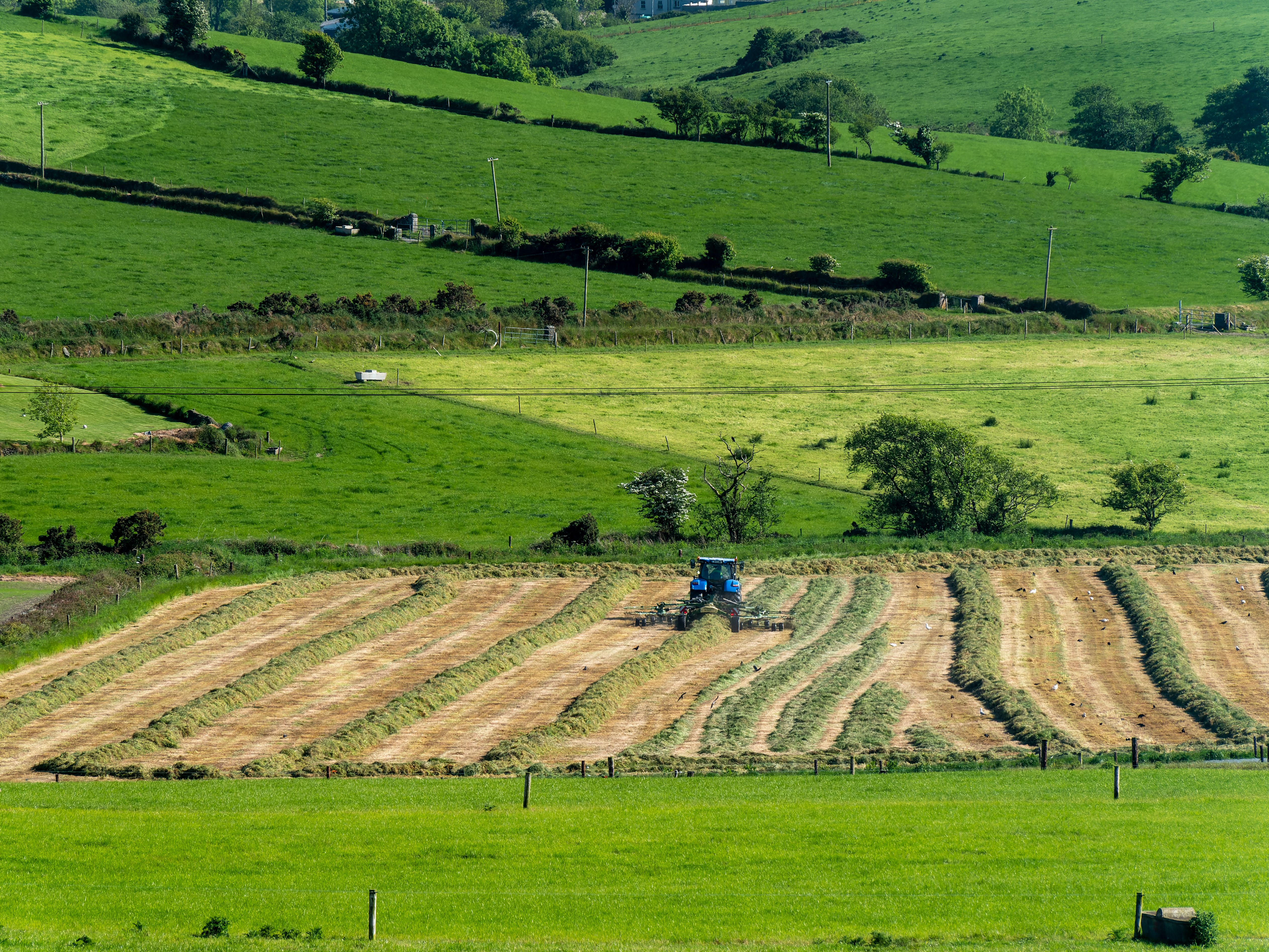 irish farm tech