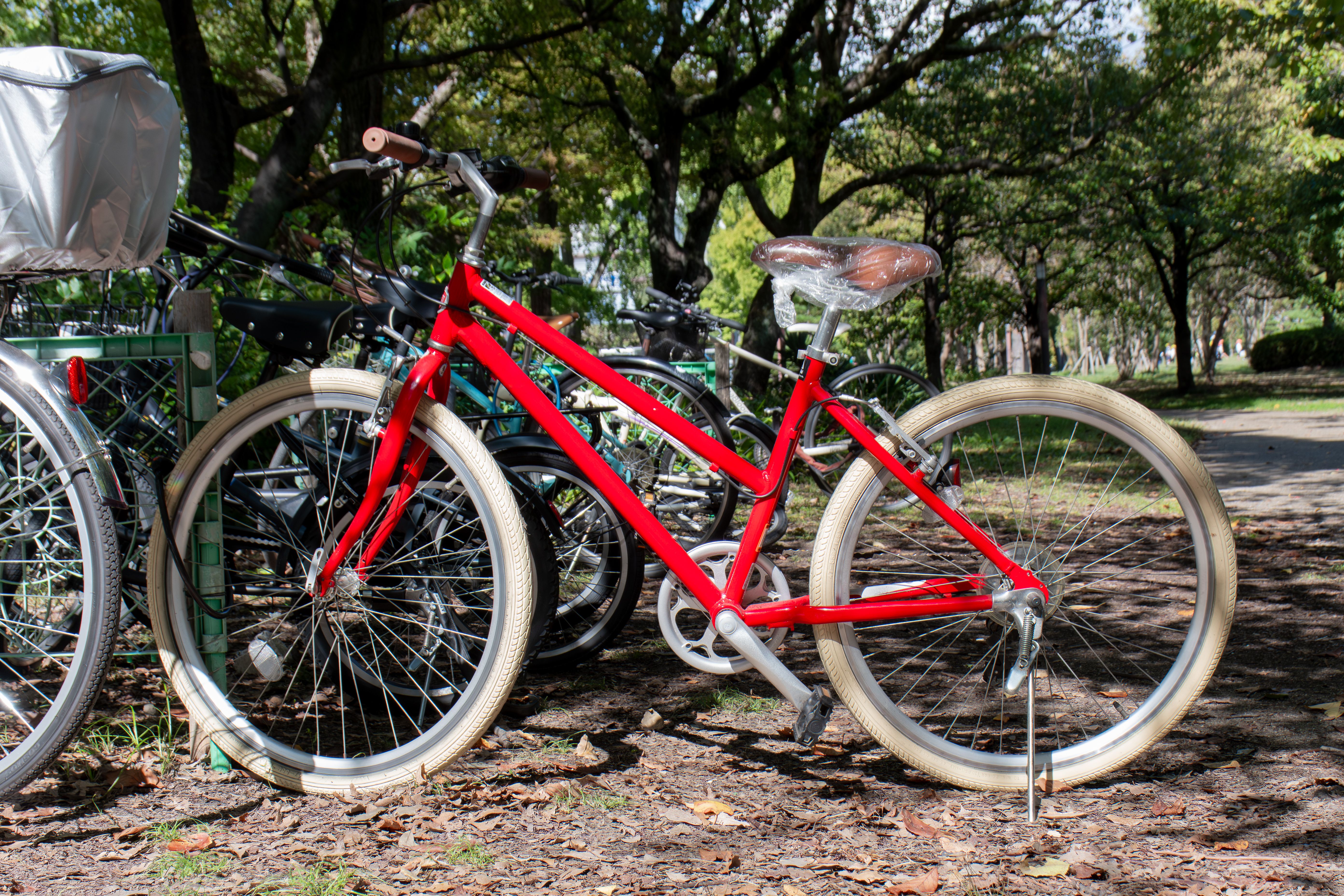 standard custom bikes