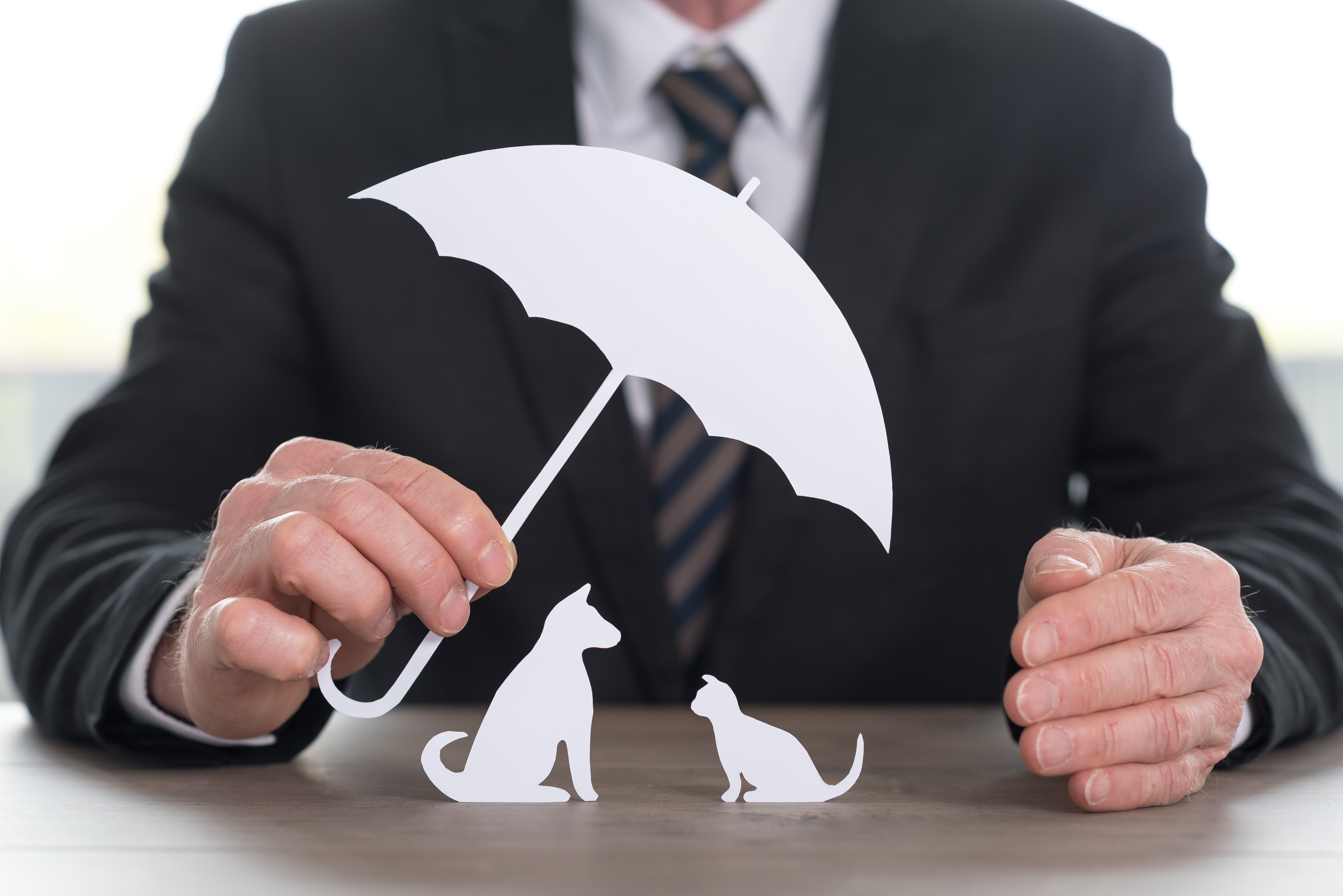 pet insurance overview