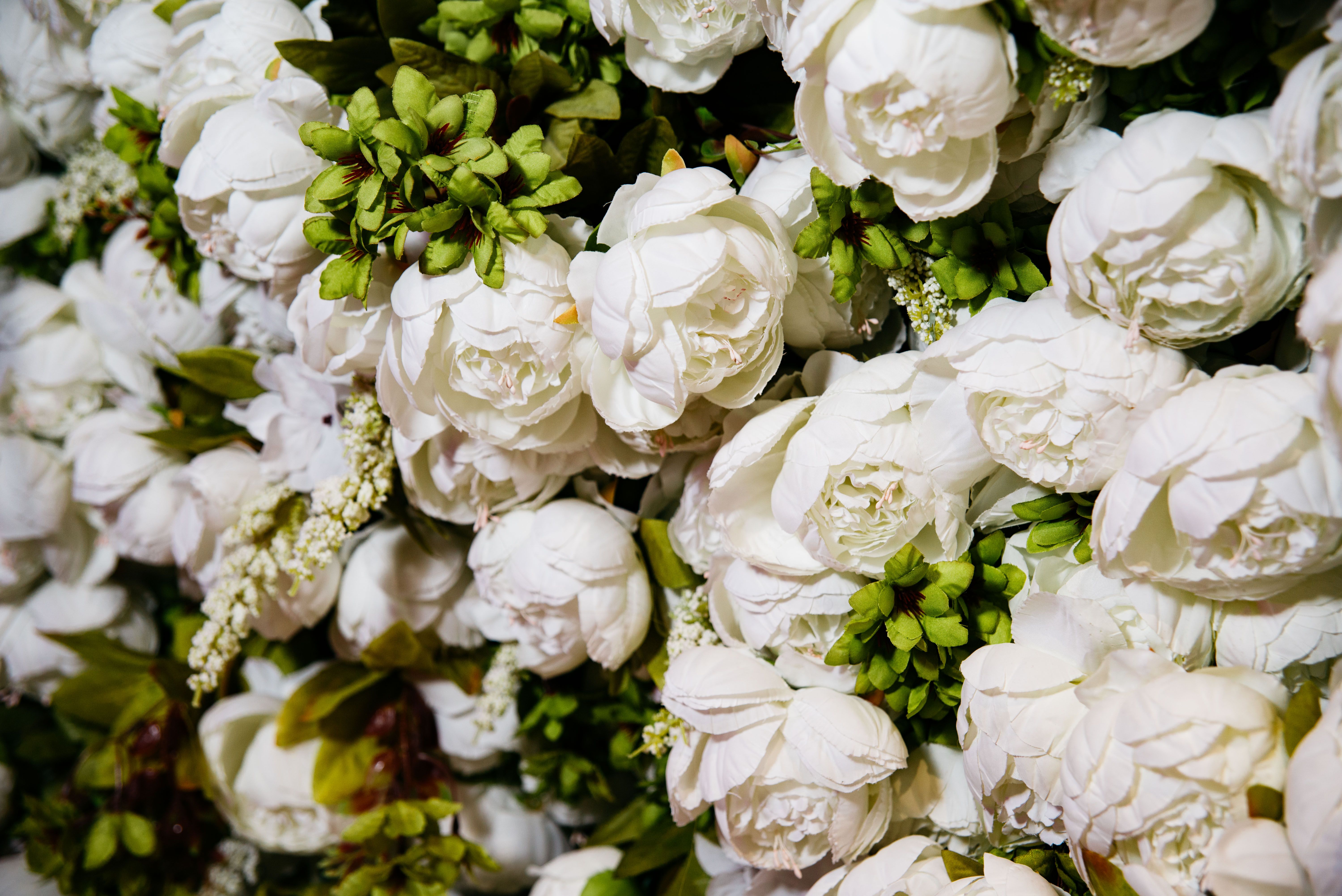 White Peony Flower Wall with Greenery.