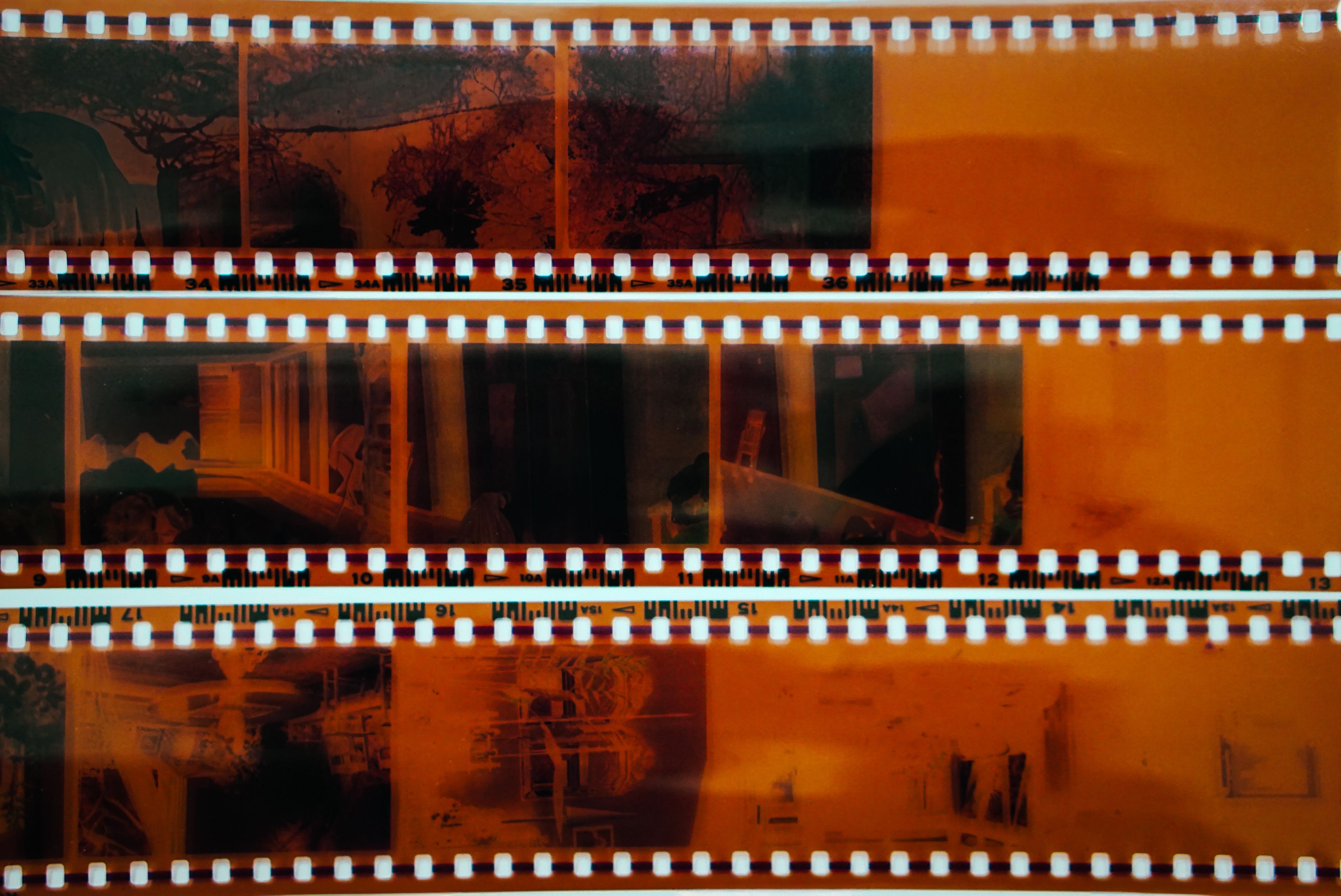 urban film adaptation