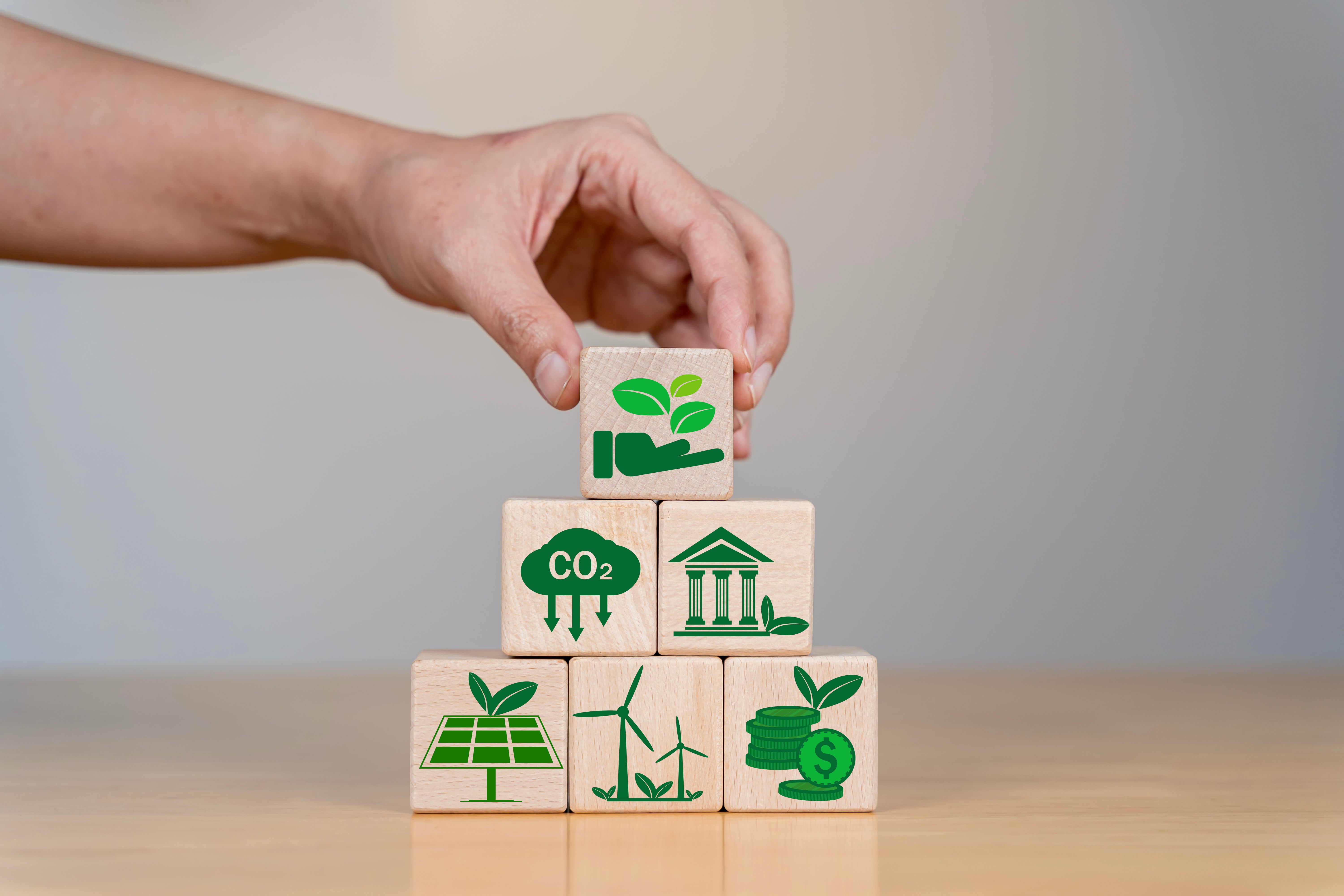 business sustainability