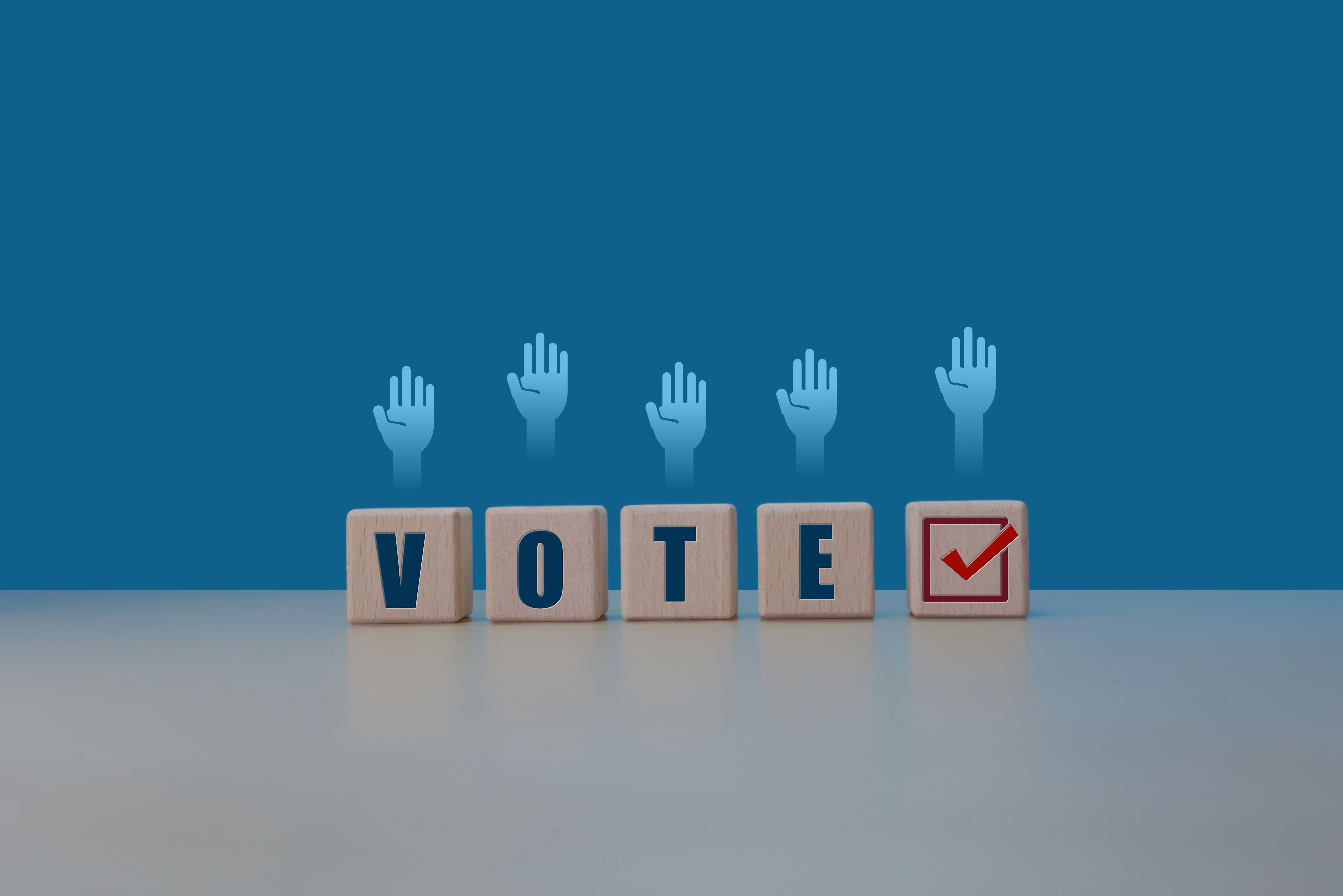 technology voting