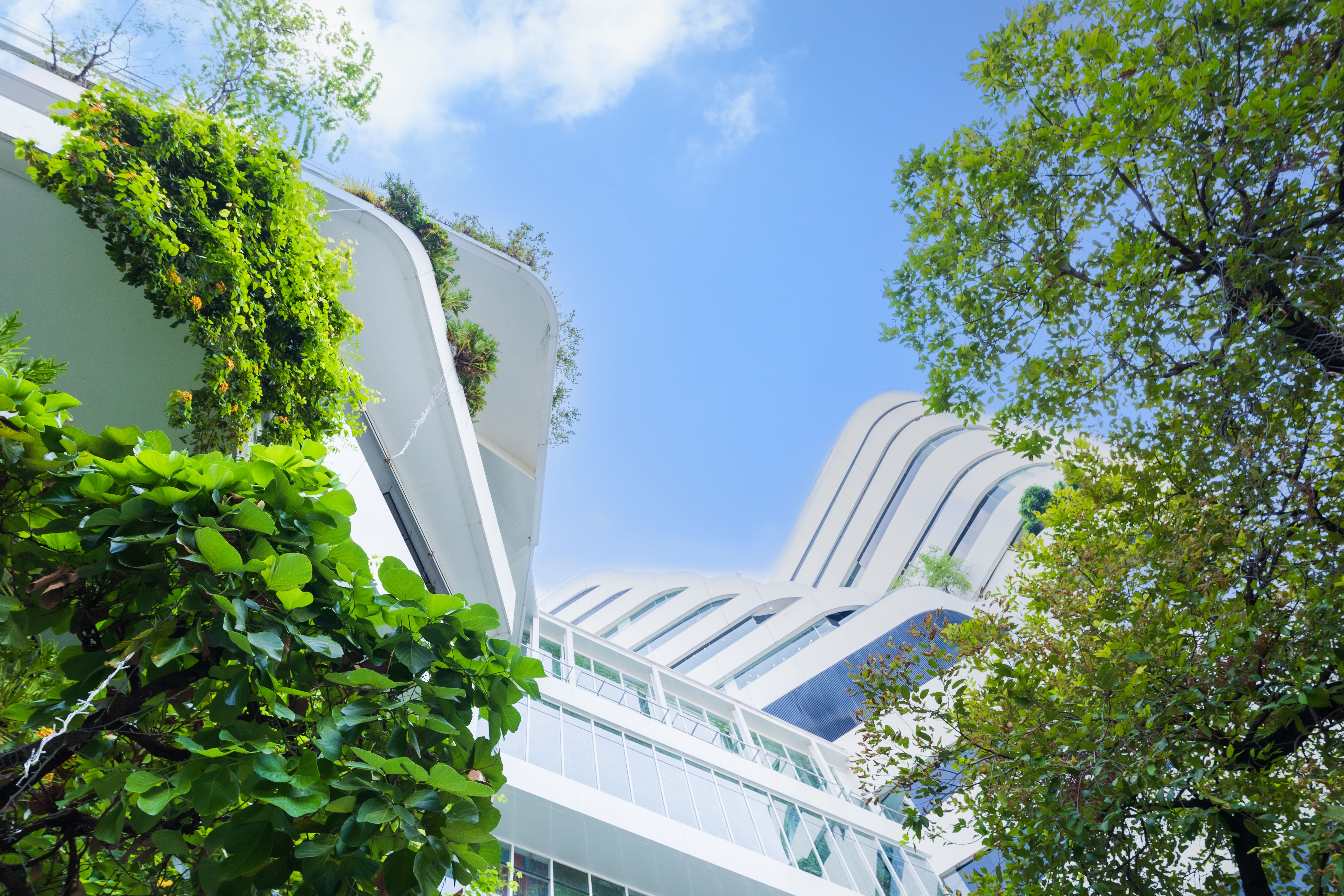 eco friendly architecture