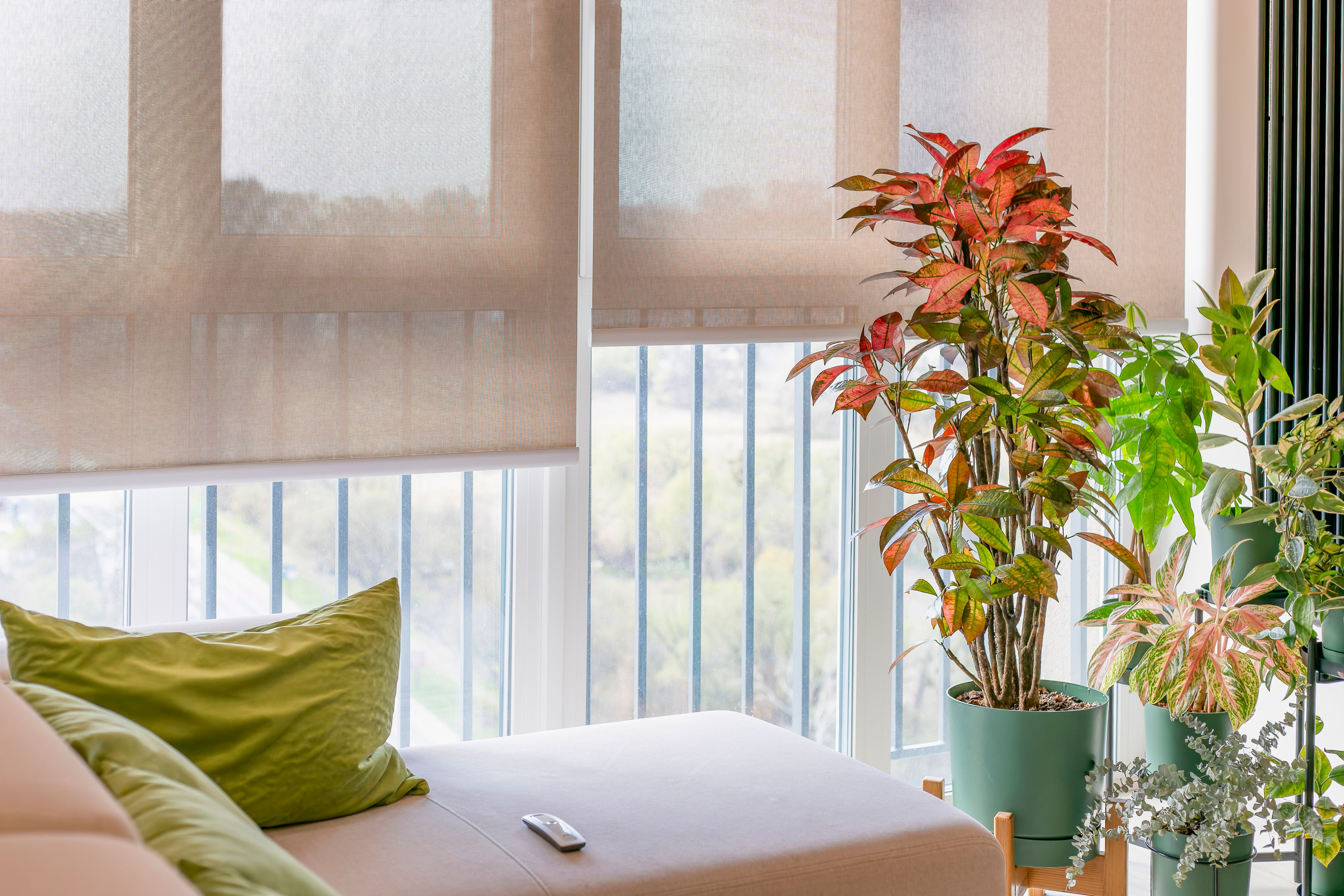smart window treatments