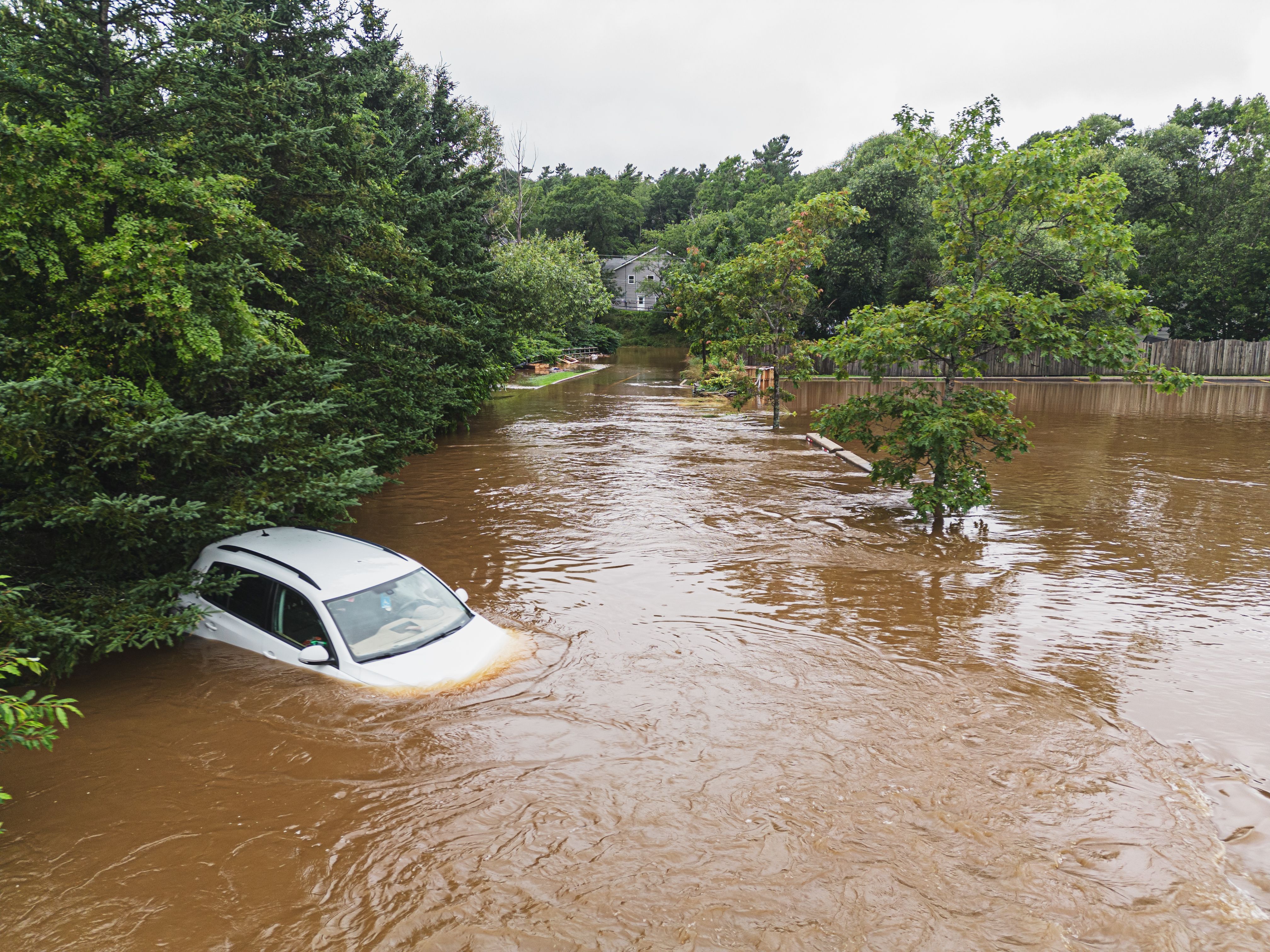 förderung unternehmen
