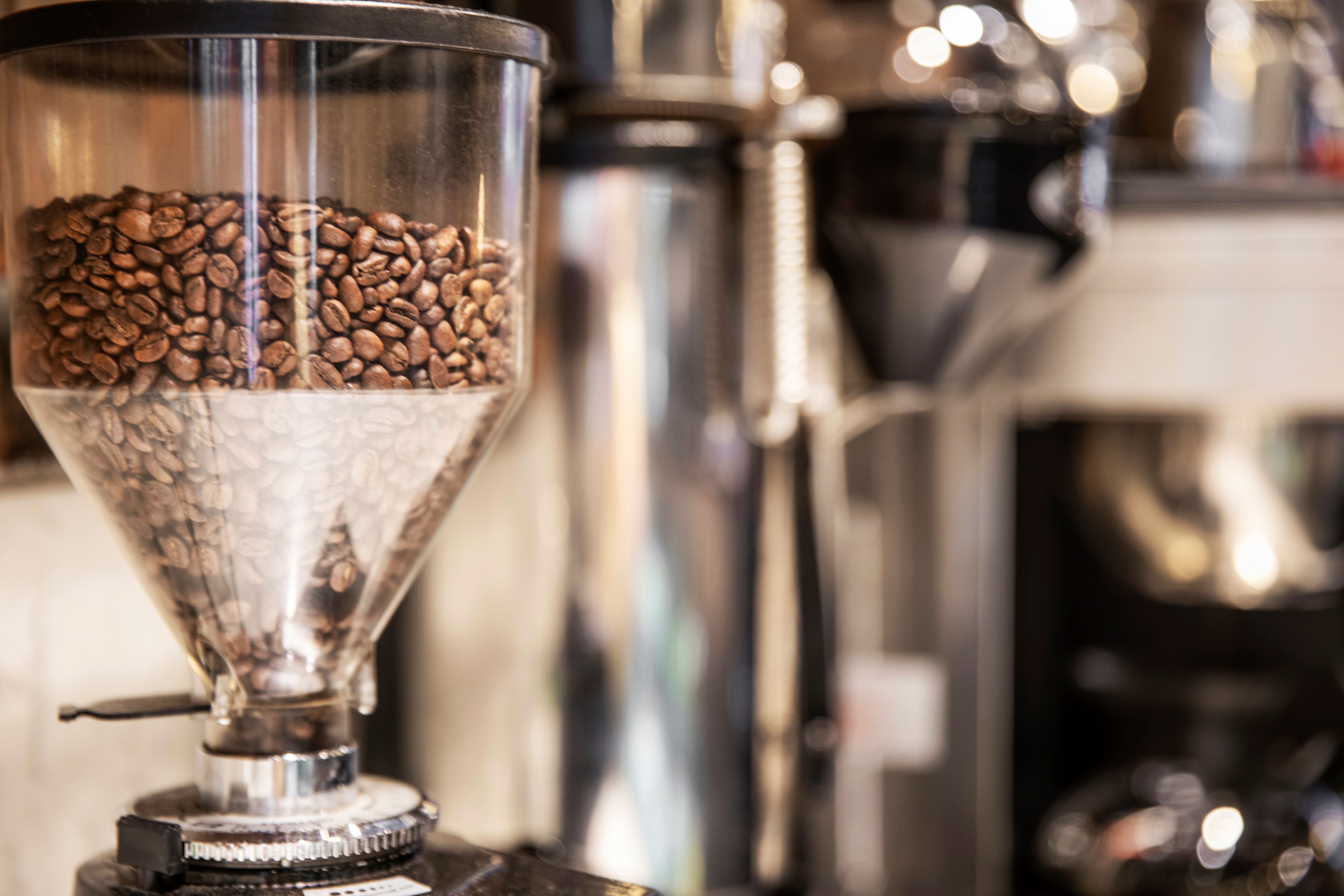 coffee beans closeup