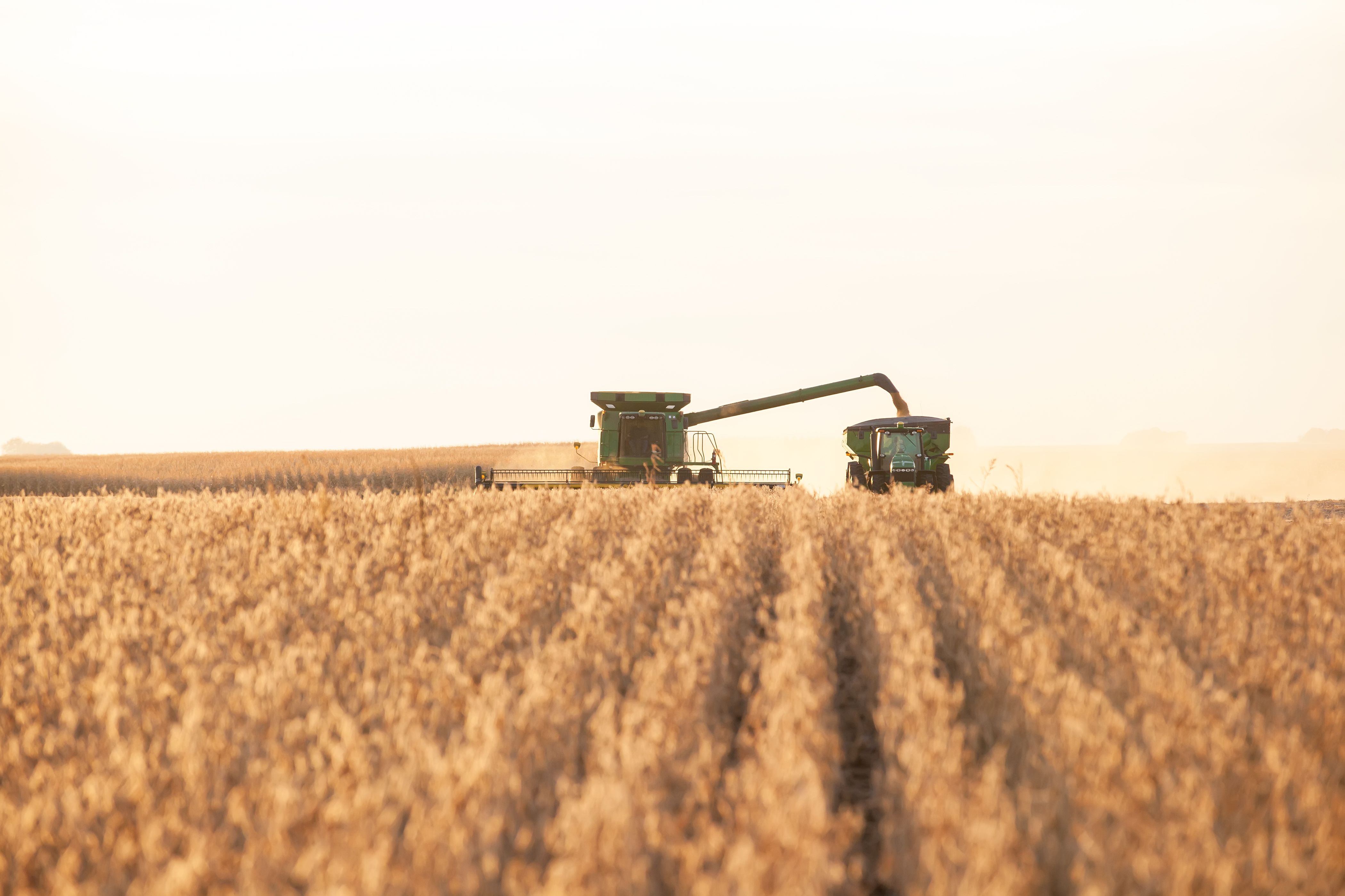 usa agriculture