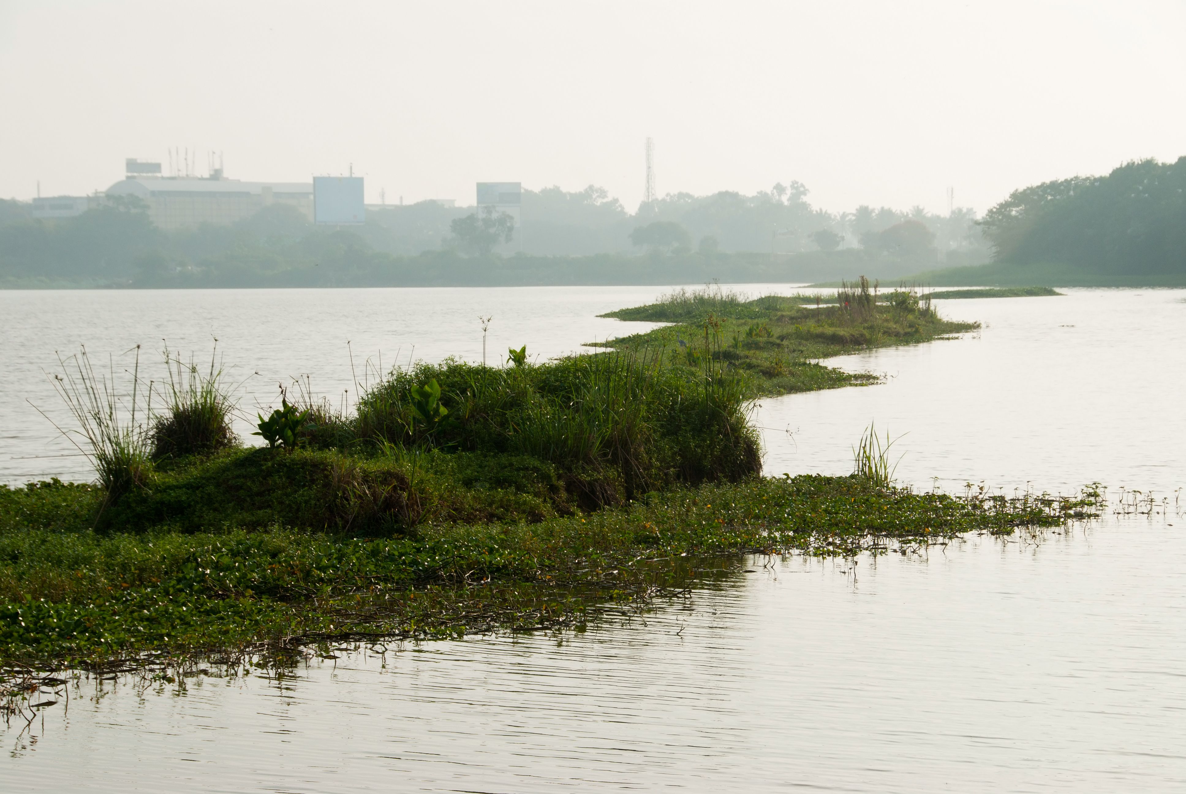 hebbal lake bangalore